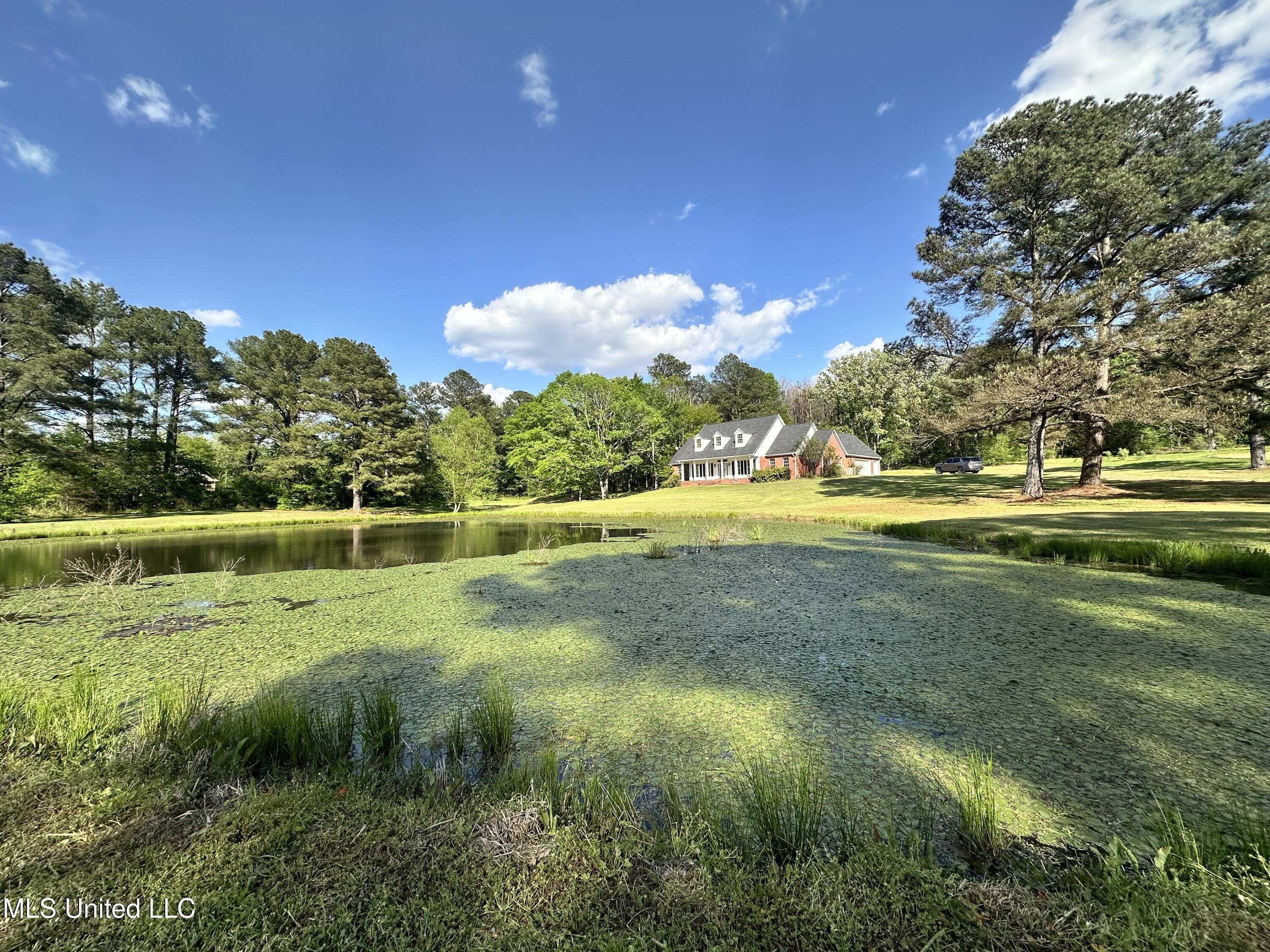 120 Timber Green Lane, Canton, Mississippi image 1