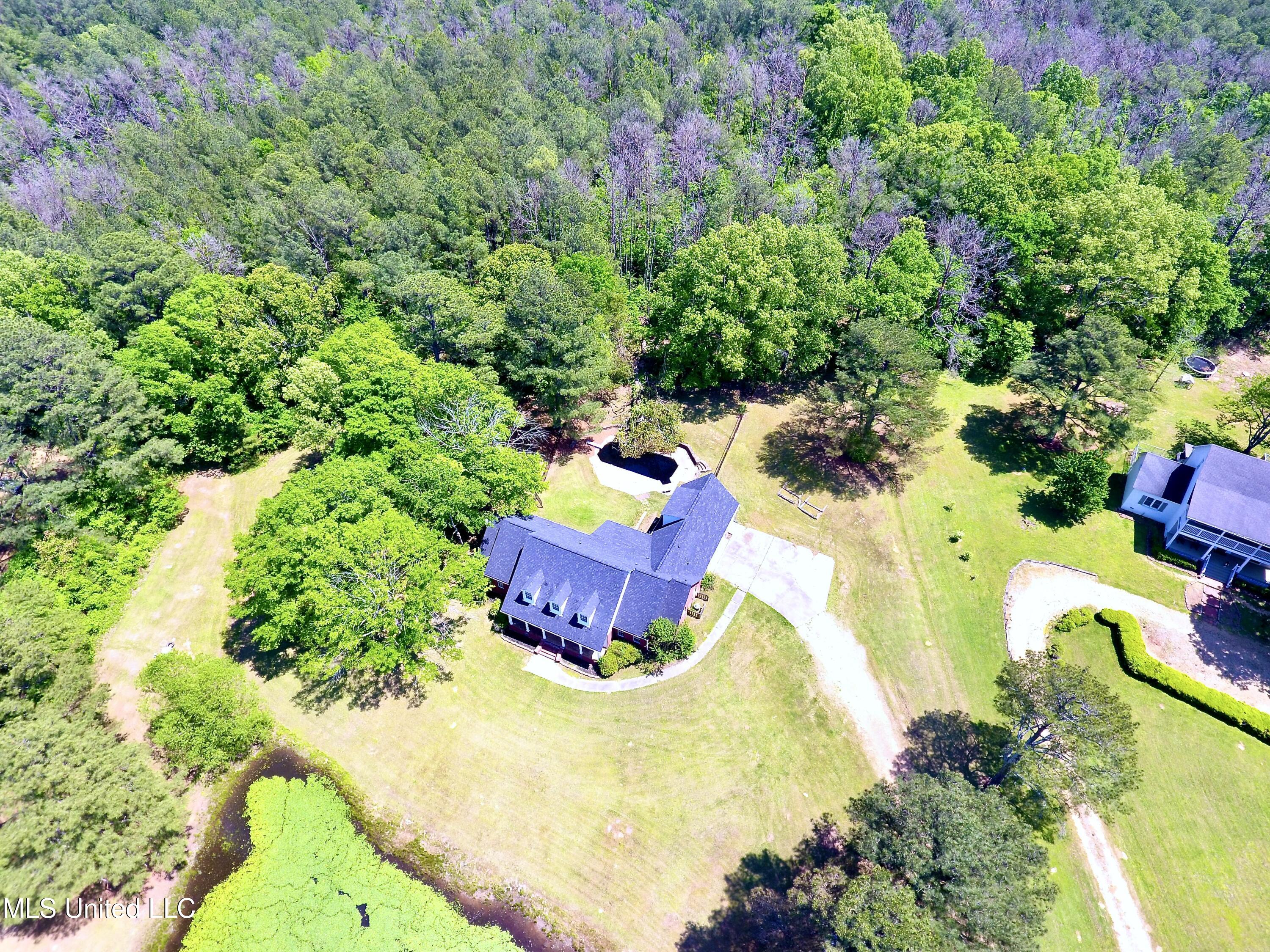 120 Timber Green Lane, Canton, Mississippi image 5