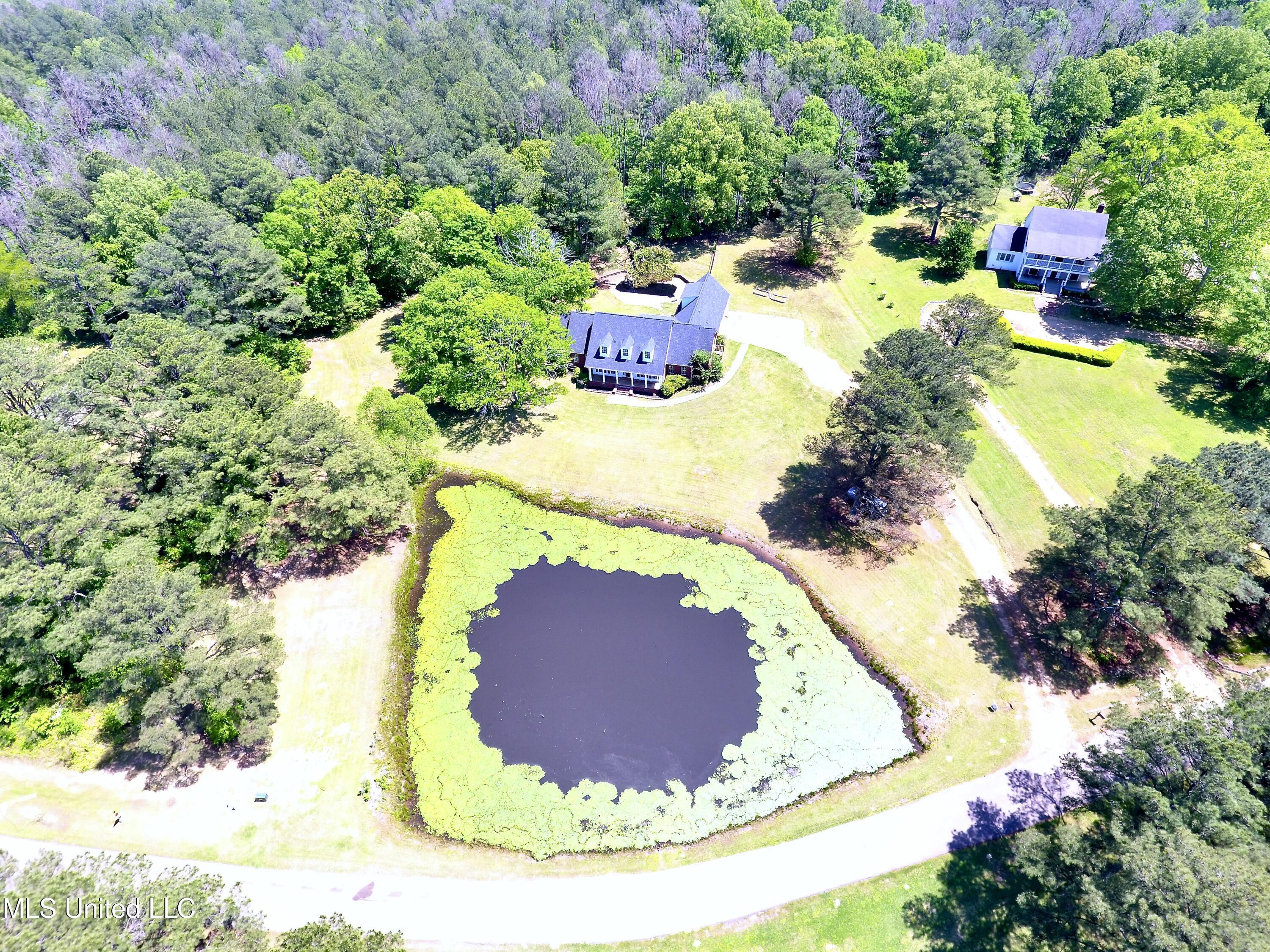 120 Timber Green Lane, Canton, Mississippi image 4