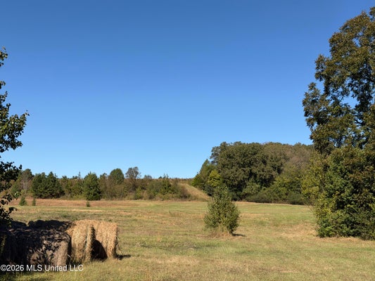 4 SW BOUNDARY STREET, HOLLY SPRINGS, MS 38635 - Image 2ff73cb2c6bdc685b8ab5e00fc734a59/3834894528