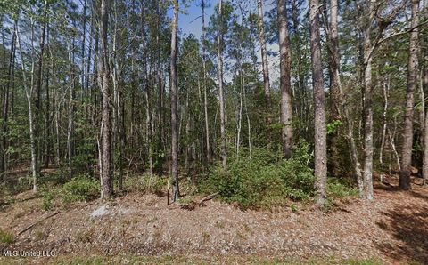 Vacant Land For Sale - Orange Street<br/> Hancock County, Bay Saint Louis, MS 39520