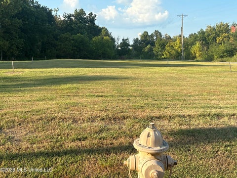 Vacant Land For Sale - N Compress Street<br/> Marshall County, Holly Springs, MS 38635