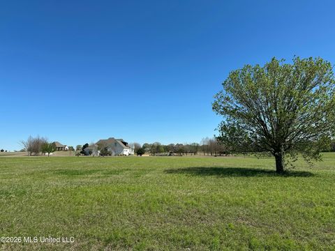 Vacant Land For Sale - 0 Hannahlea Place<br/> Madison County, Flora, MS 39071