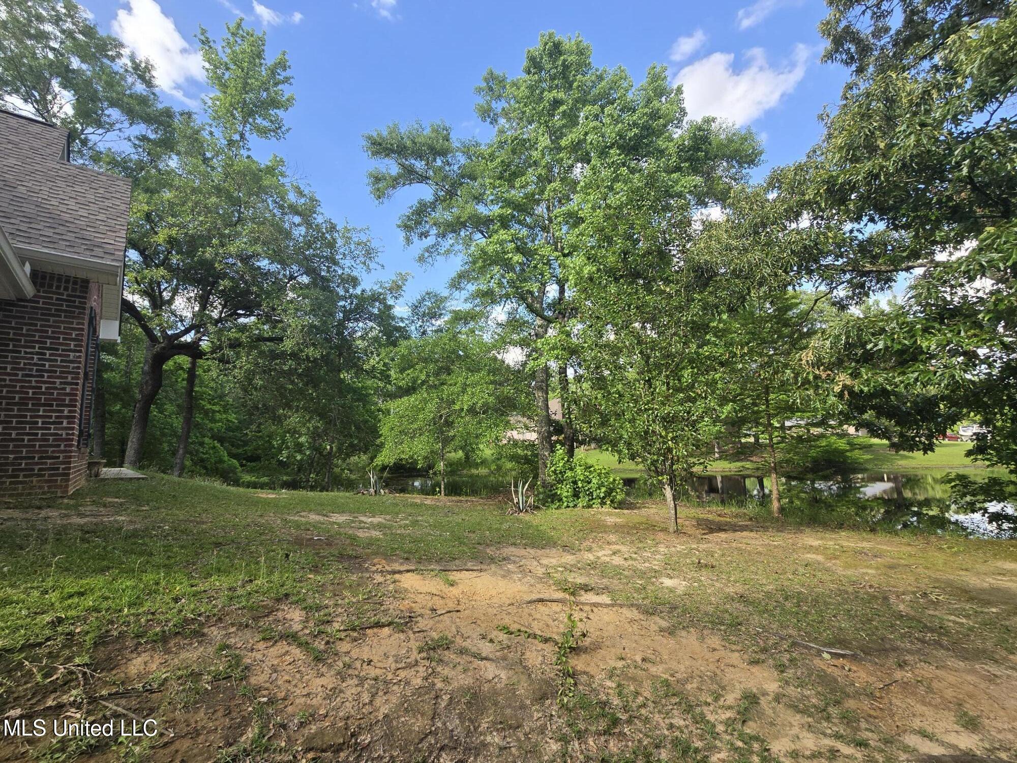 26 Running Stream Drive, Carriere, Mississippi image 47