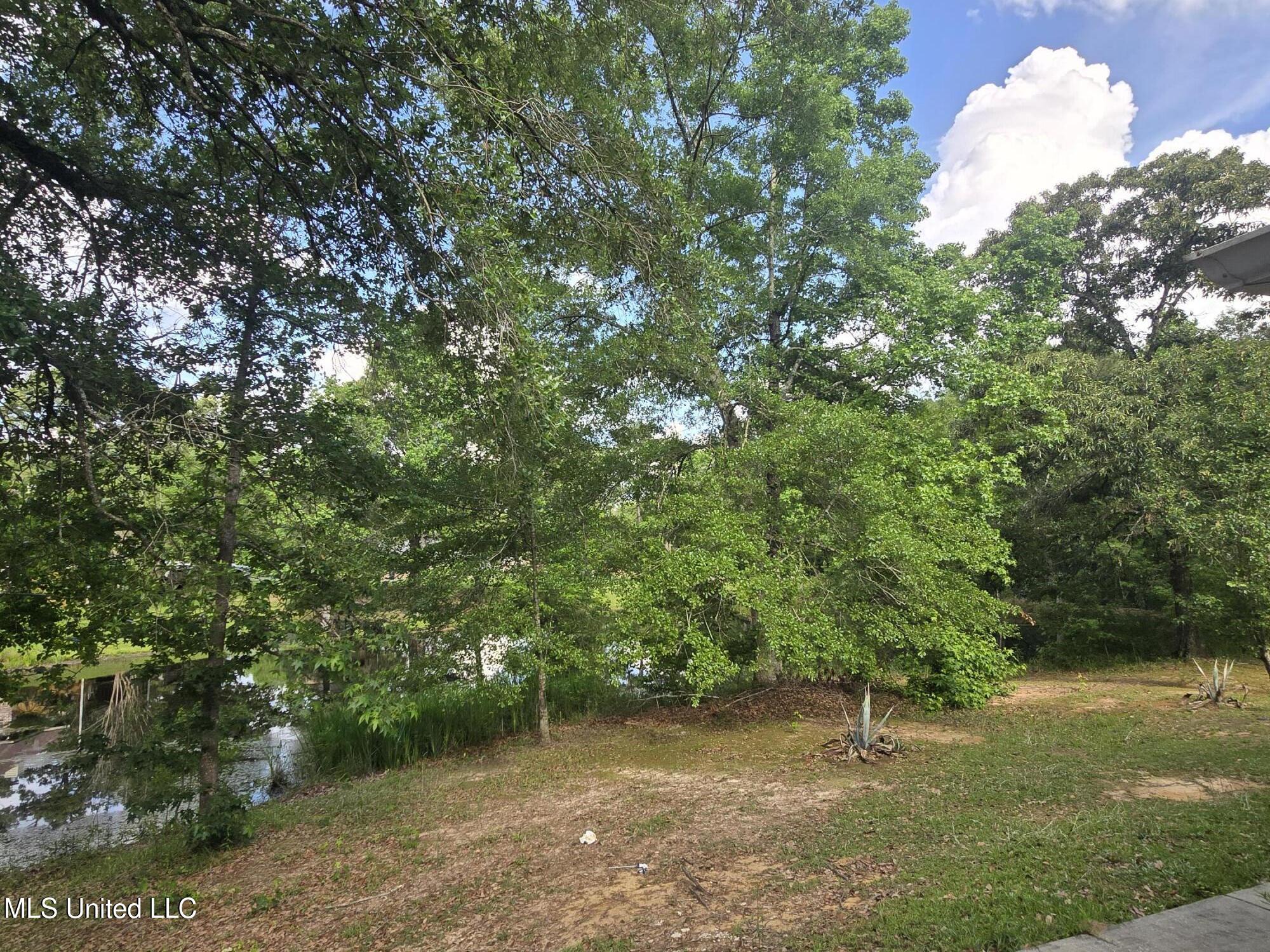 26 Running Stream Drive, Carriere, Mississippi image 44
