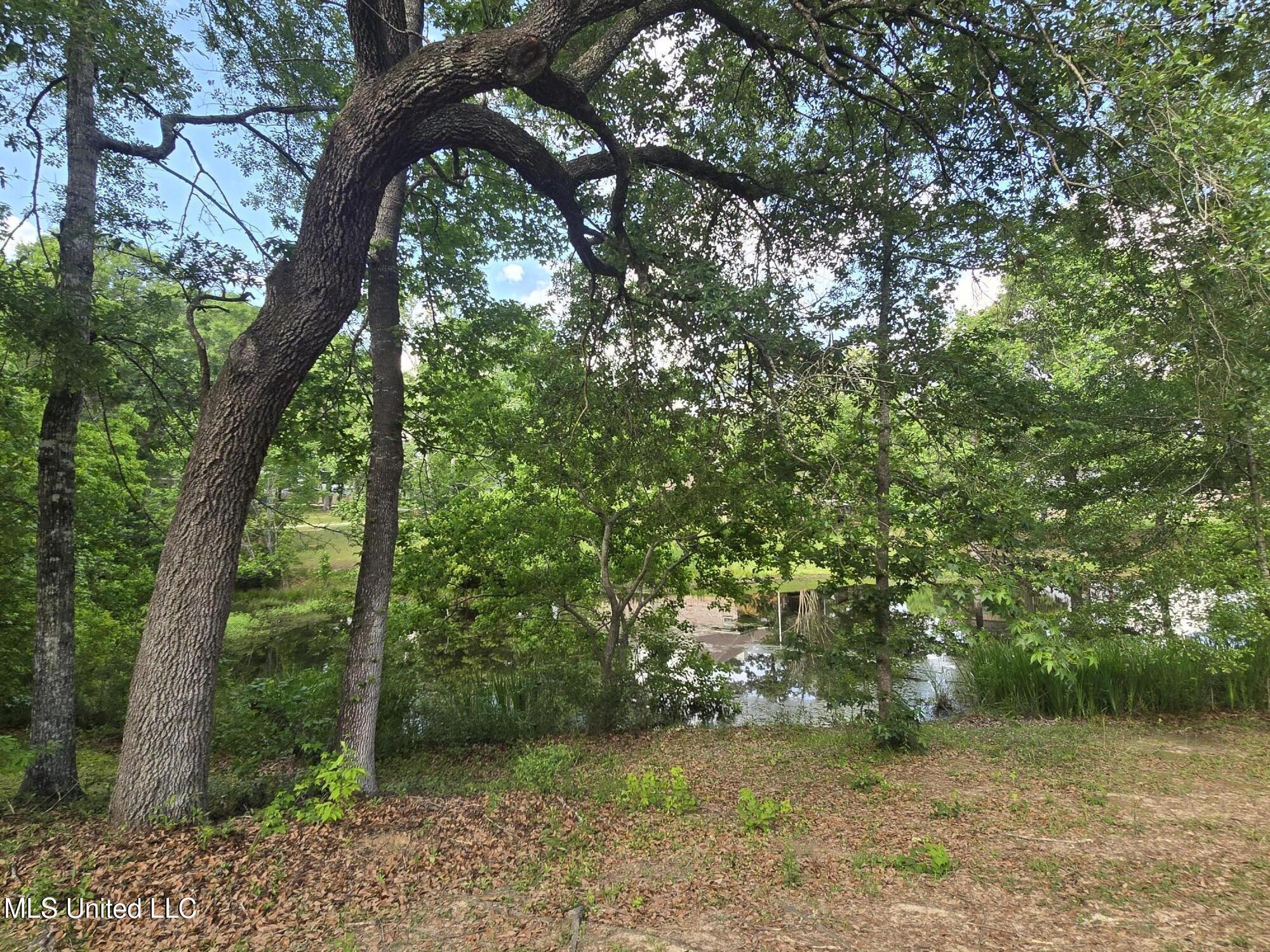 26 Running Stream Drive, Carriere, Mississippi image 45