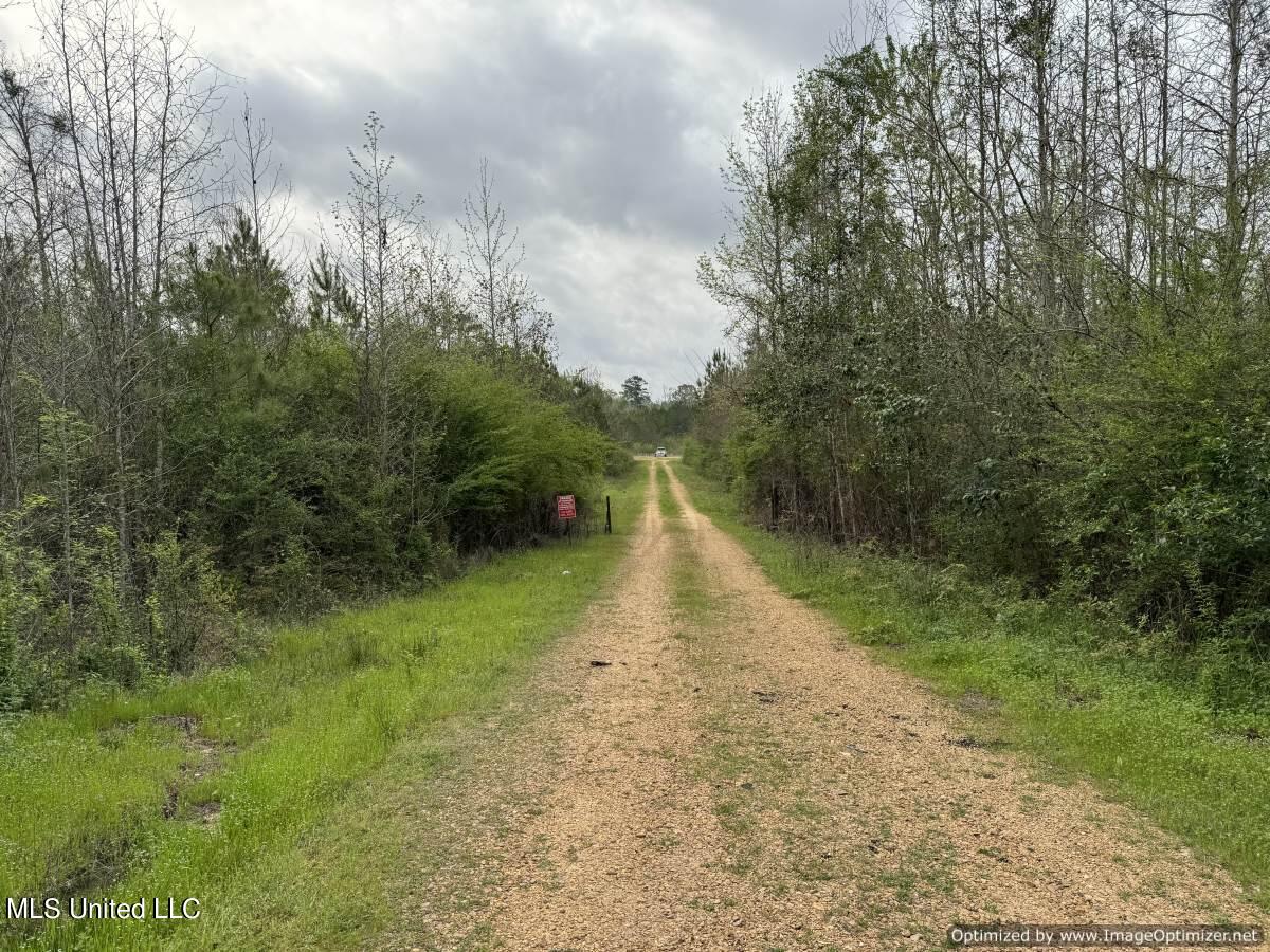 1950c NW Oakwood Ln, Brookhaven, Mississippi image 8