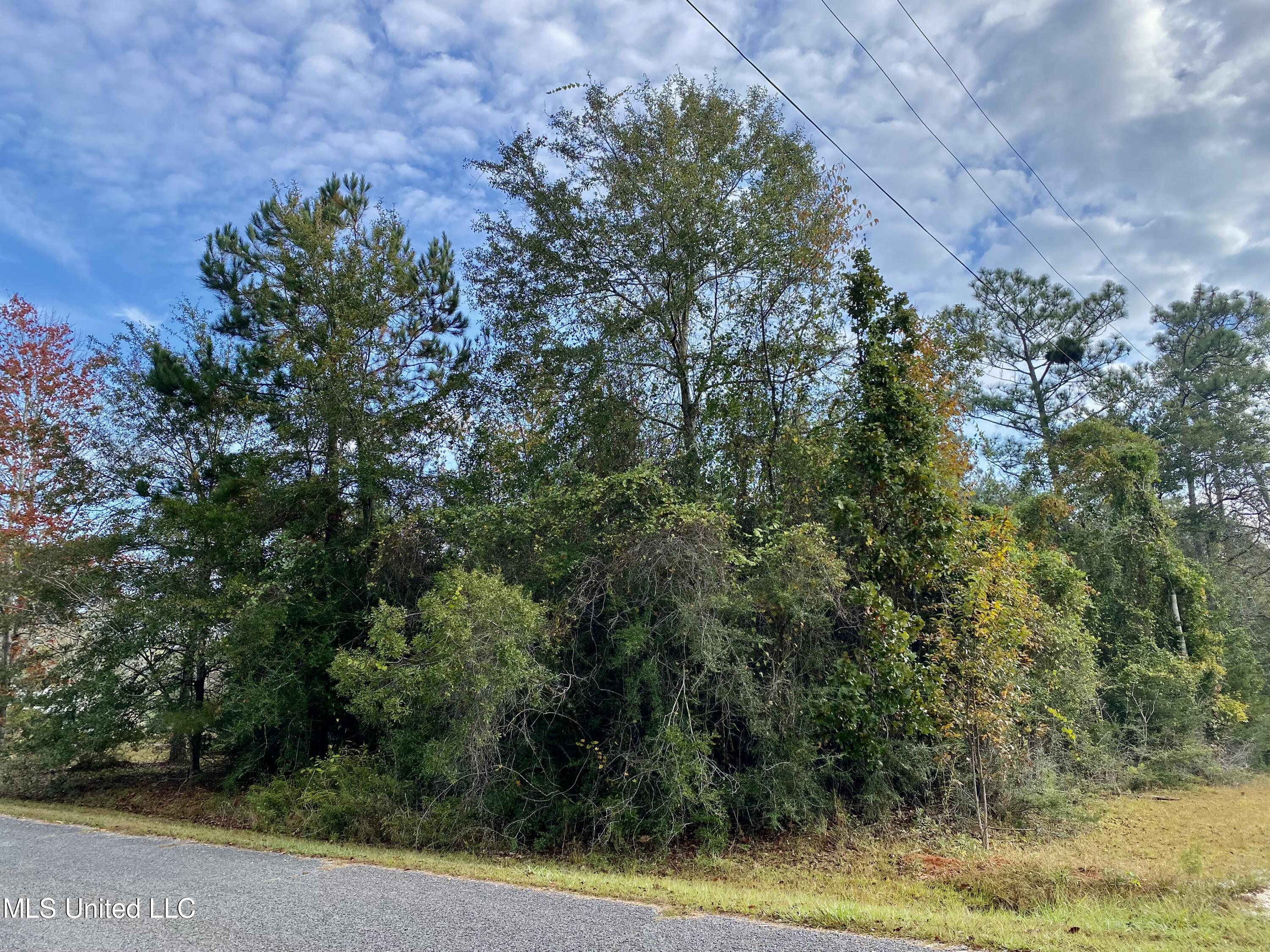 Lake David Drive, Picayune, Mississippi image 2