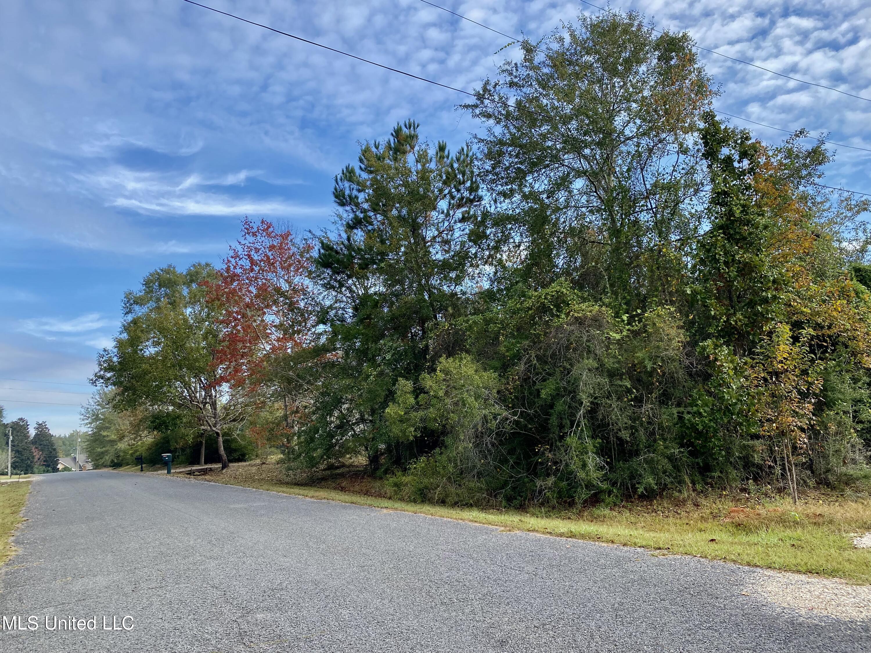 Lake David Drive, Picayune, Mississippi image 3