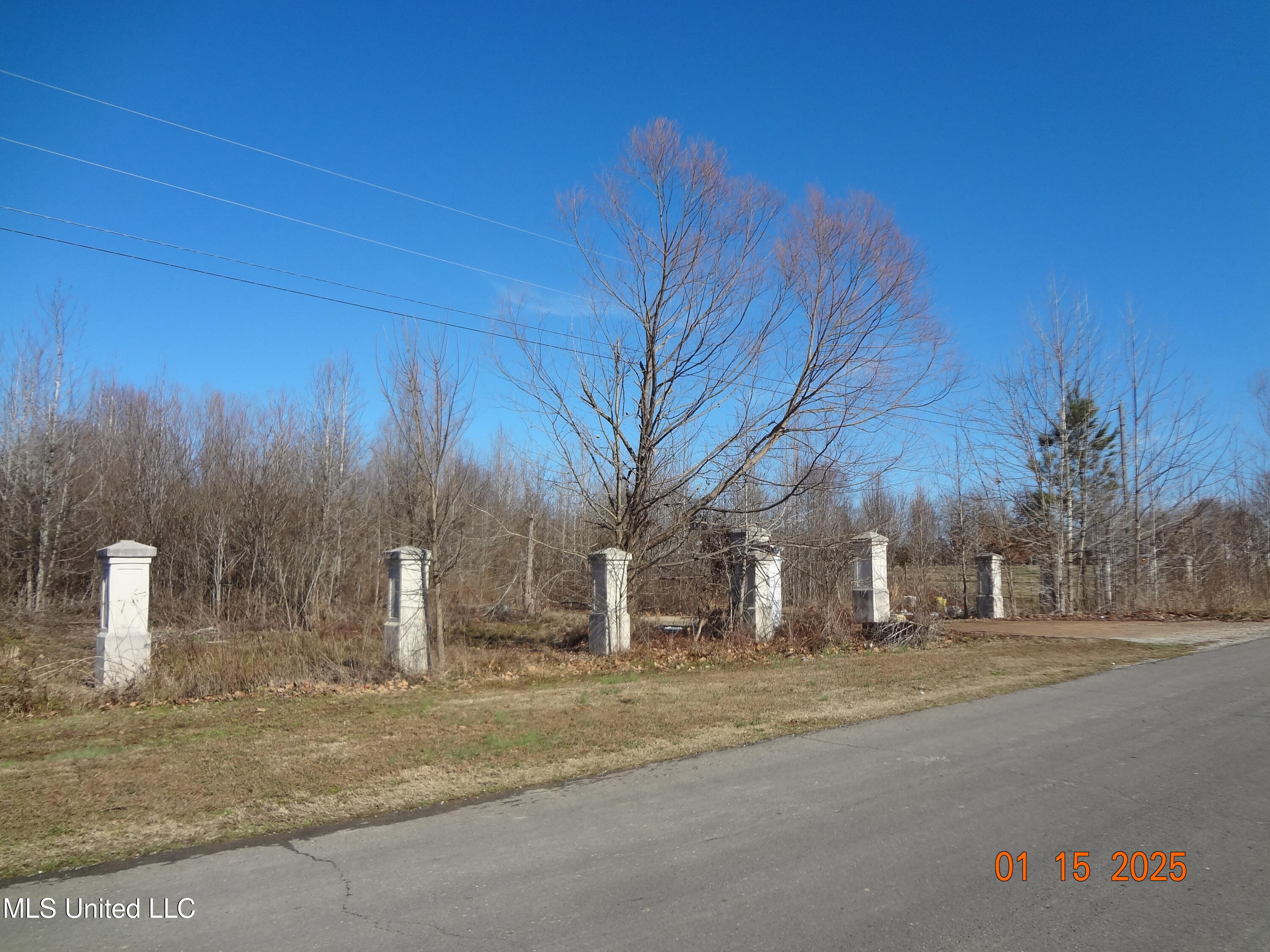 Beechtree Ln, Lot #22, Byhalia, Mississippi image 2