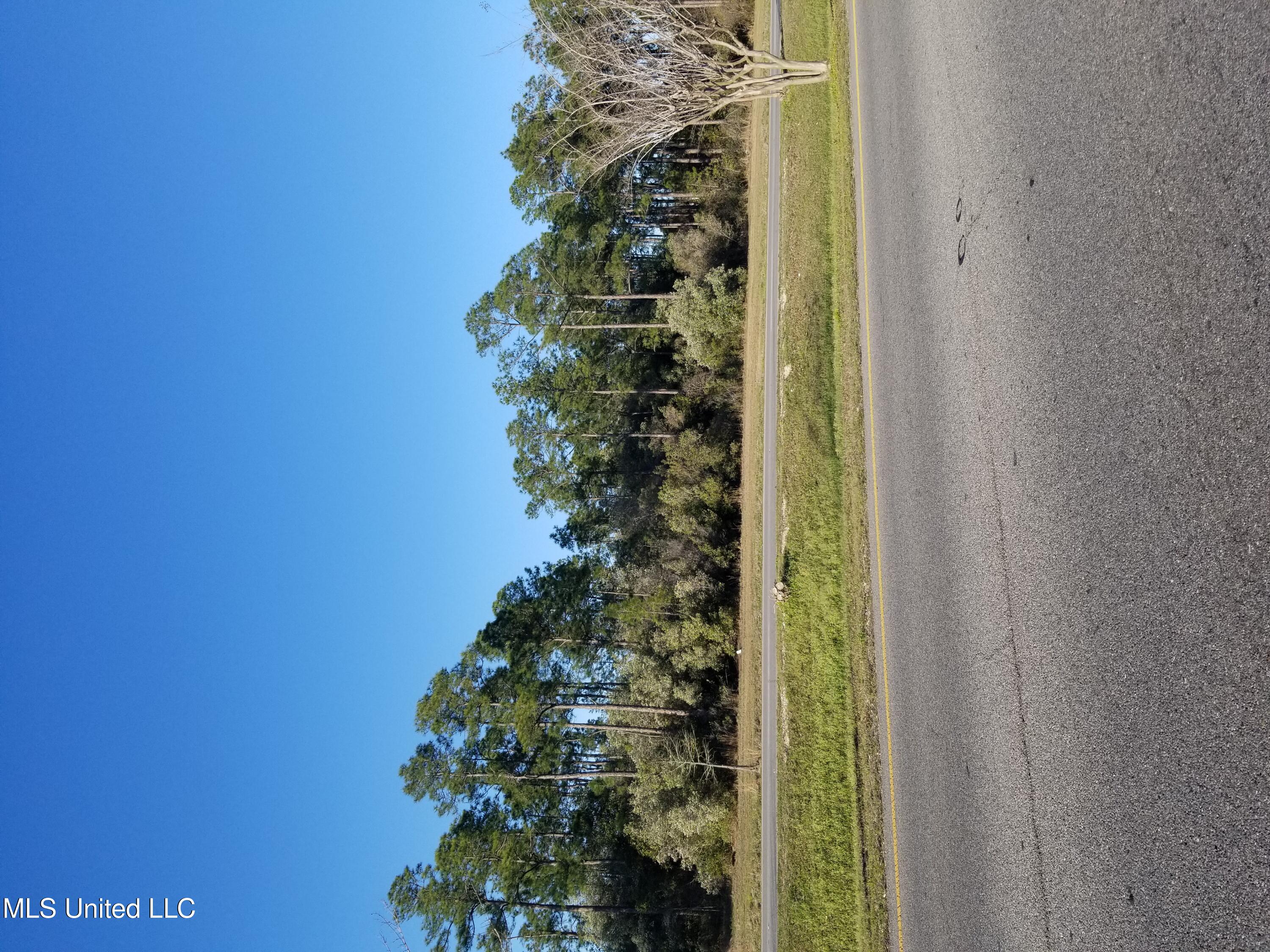Bienville Boulevard, Ocean Springs, Mississippi image 1