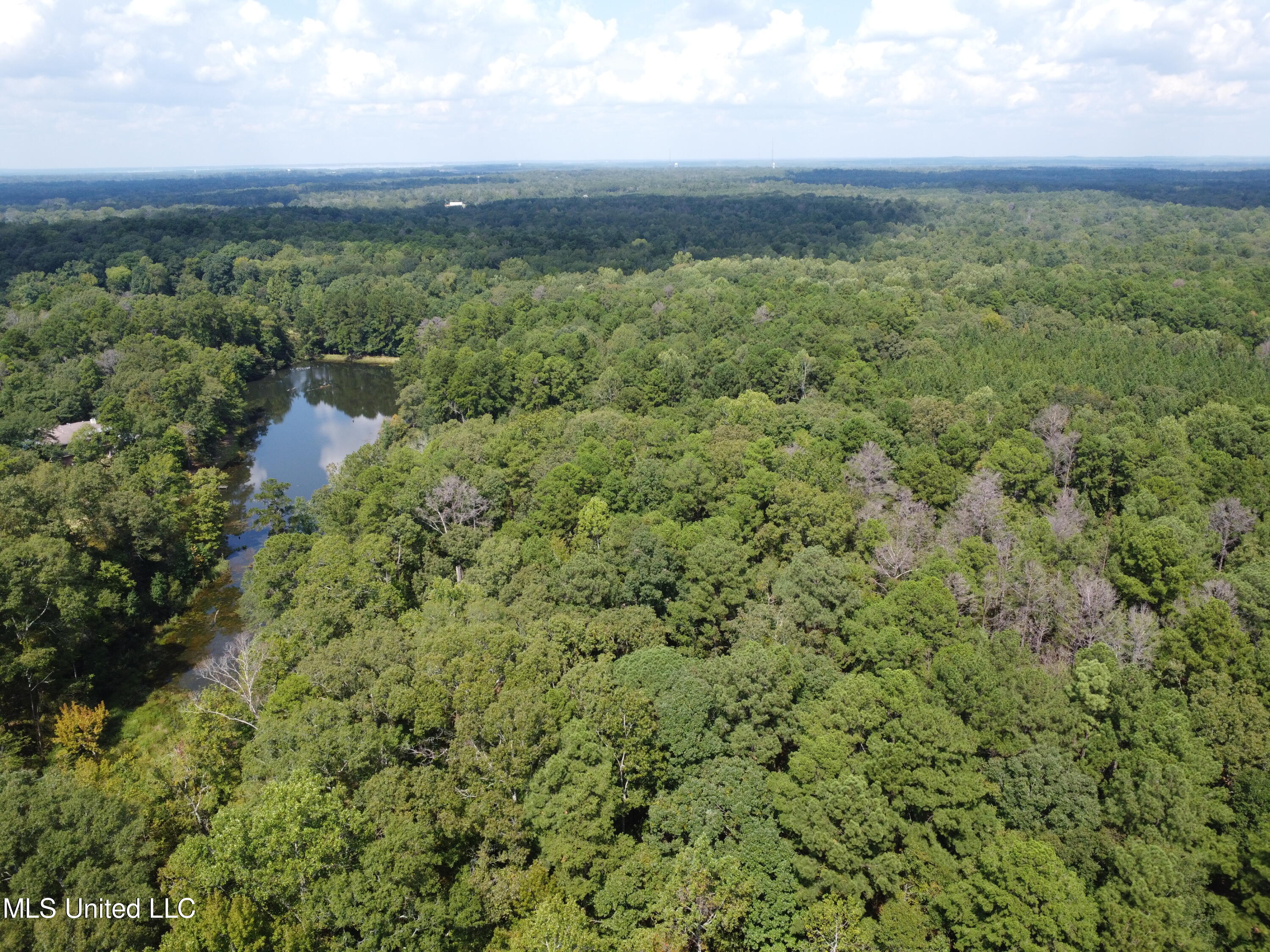 Evergreen Lot #2 Drive, Brandon, Mississippi image 1