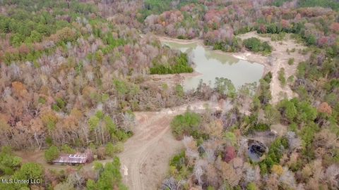 Vacant Land For Sale - Border Road<br/> Carroll County, Carrollton, MS 38917