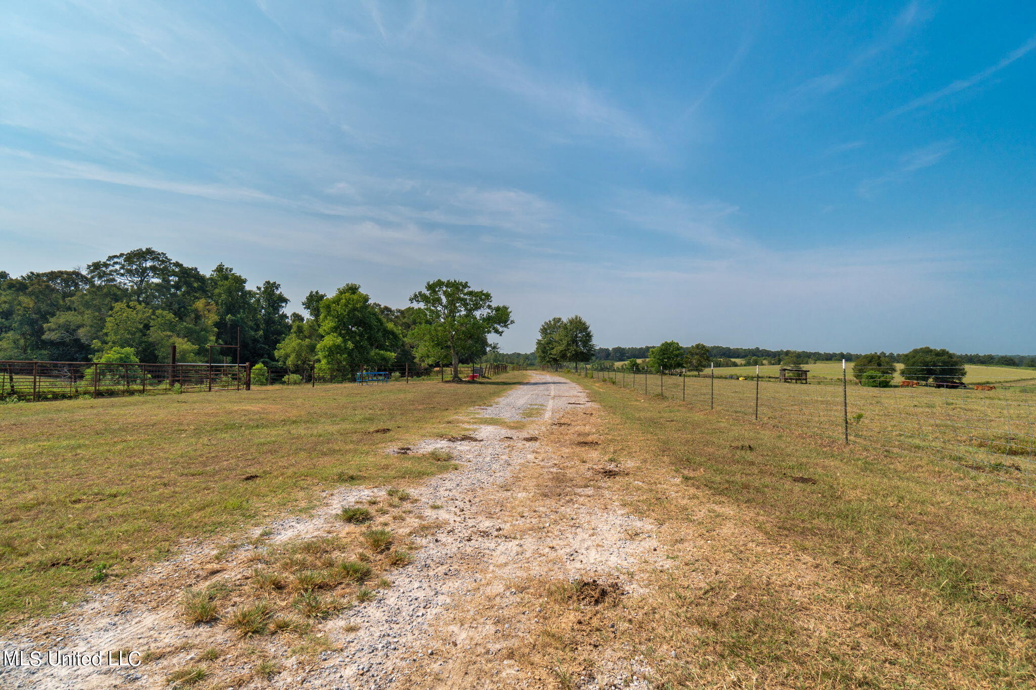 603 Osborn Moody Road, Poplarville, Mississippi image 47