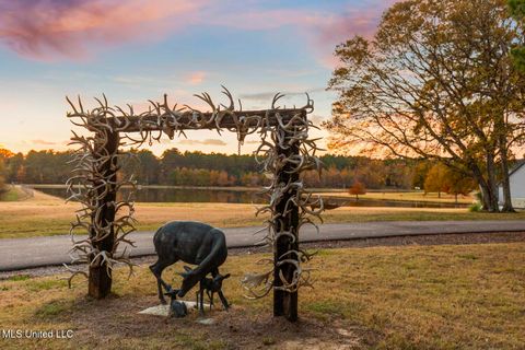 Homes For Sale - 415 Rose Hill Road<br/> Bentonia, MS 39040