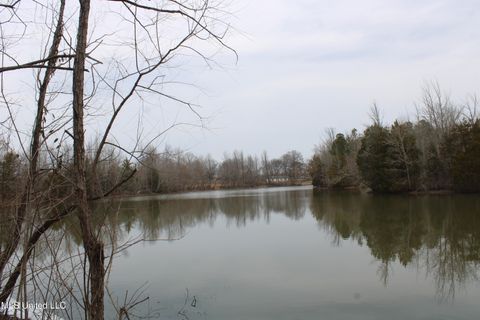 Vacant Land For Sale - 4325 Highway 301<br/> Lake Cormorant, MS 38641