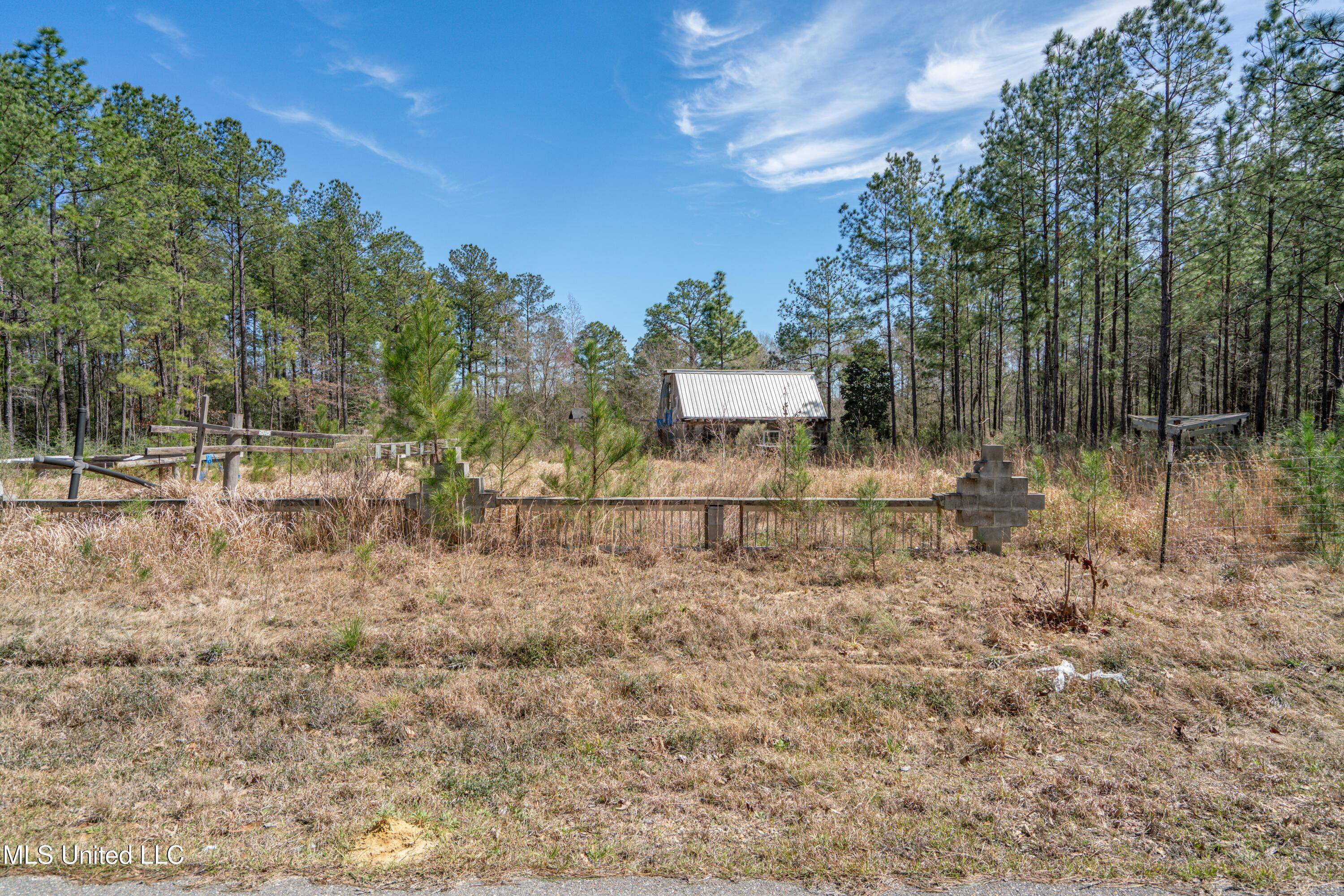 10 E Et Poole Road, Poplarville, Mississippi image 27