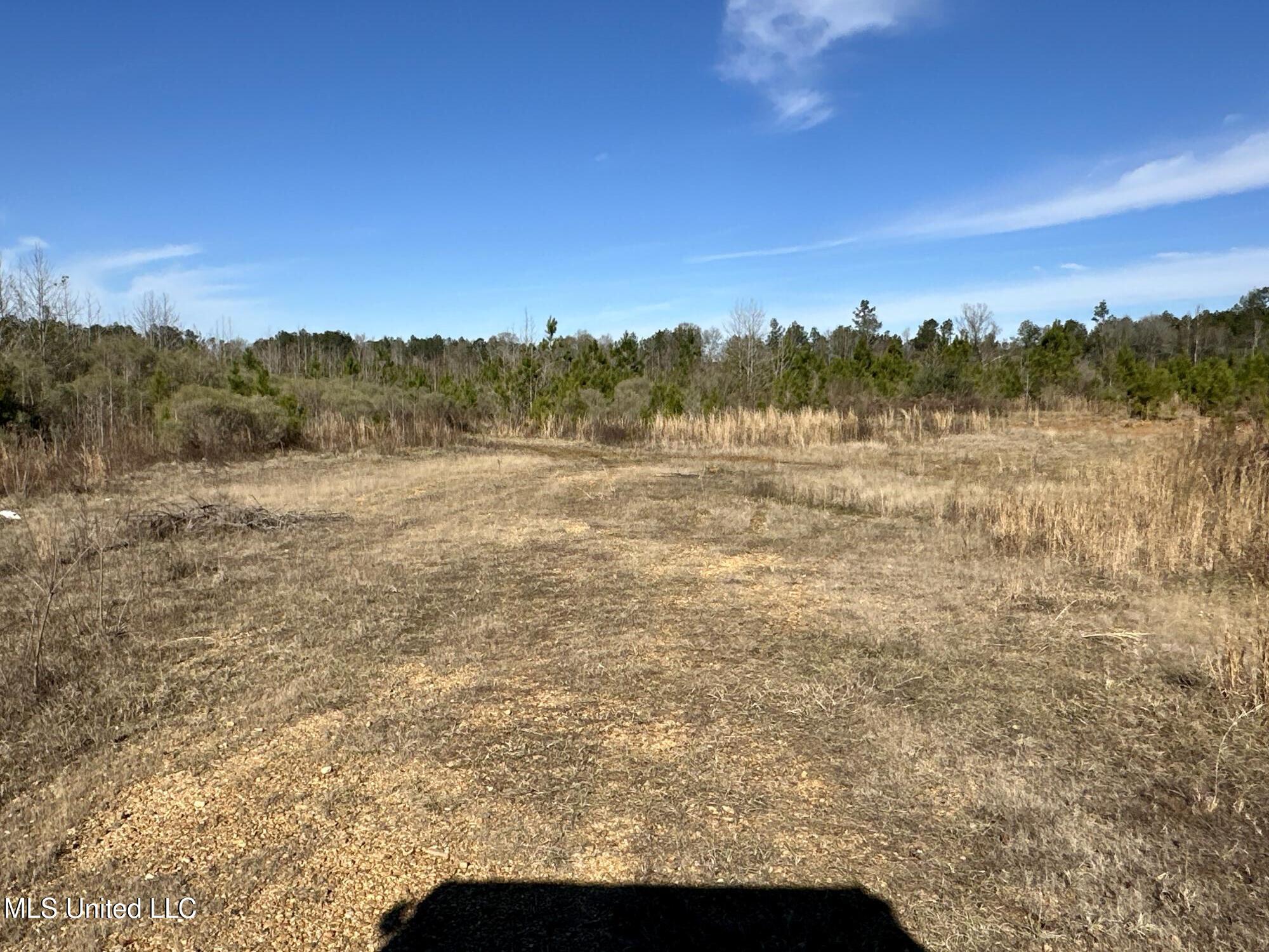 Bluff Springs Road, Gloster, Mississippi image 8