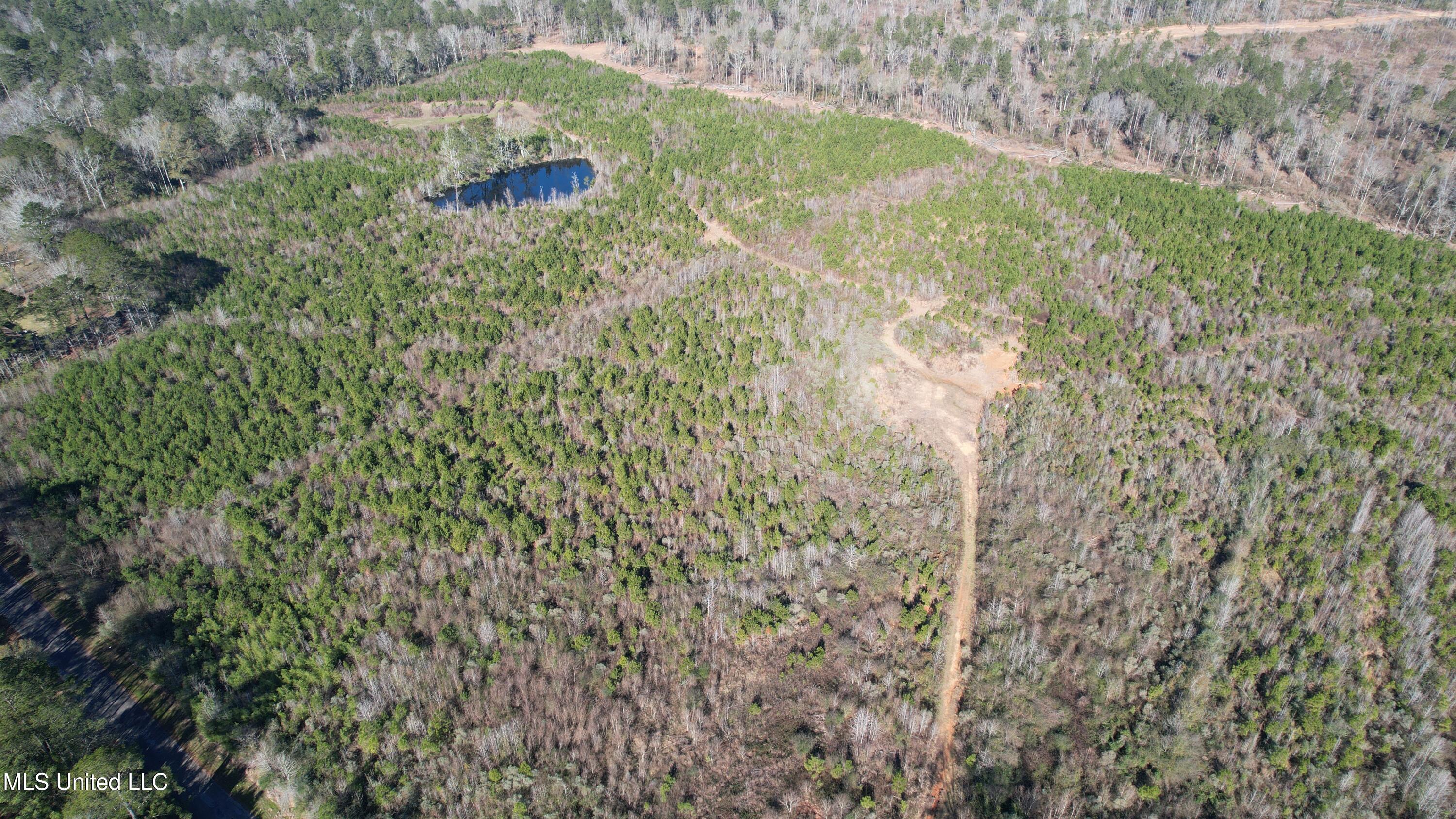 Bluff Springs Road, Gloster, Mississippi image 10