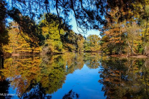 Vacant Land For Sale - 636 Livingston Vernon Road<br/> Flora, MS 39071