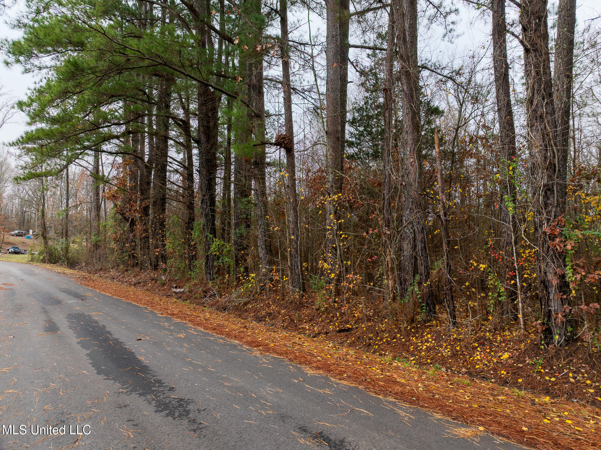 73 Valley Drive, Byhalia, Mississippi image 38