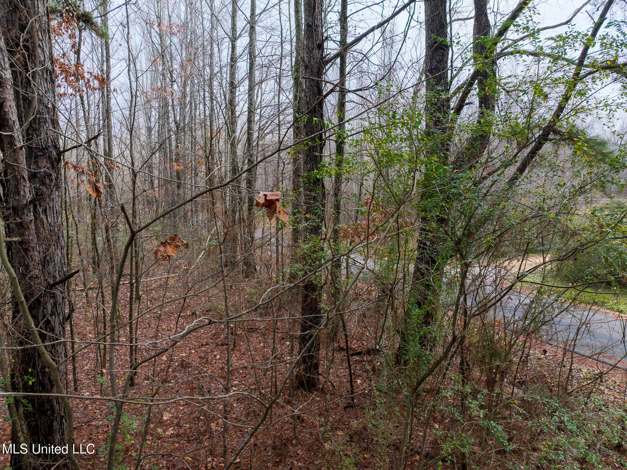 73 Valley Drive, Byhalia, Mississippi image 34
