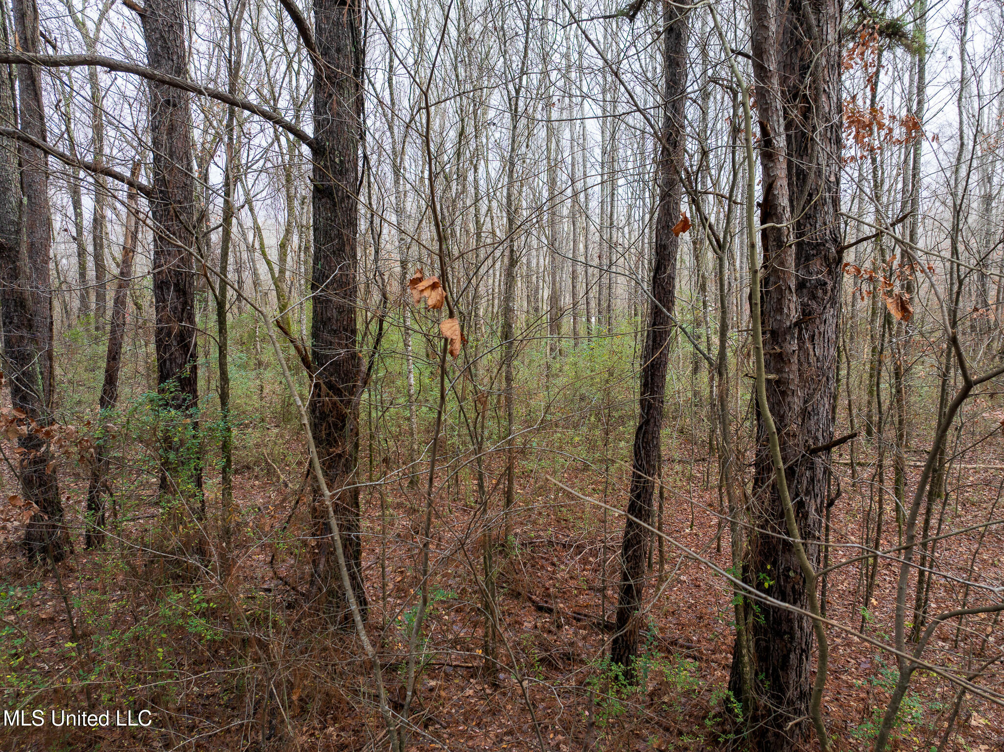 73 Valley Drive, Byhalia, Mississippi image 33