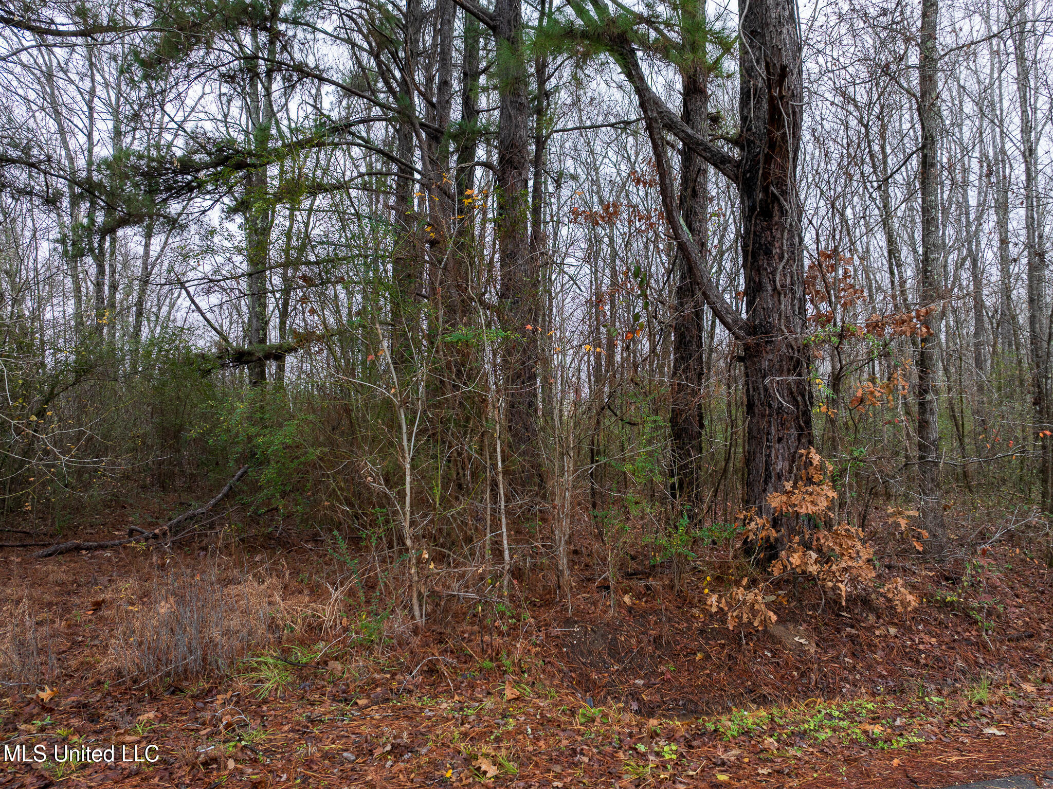 73 Valley Drive, Byhalia, Mississippi image 39