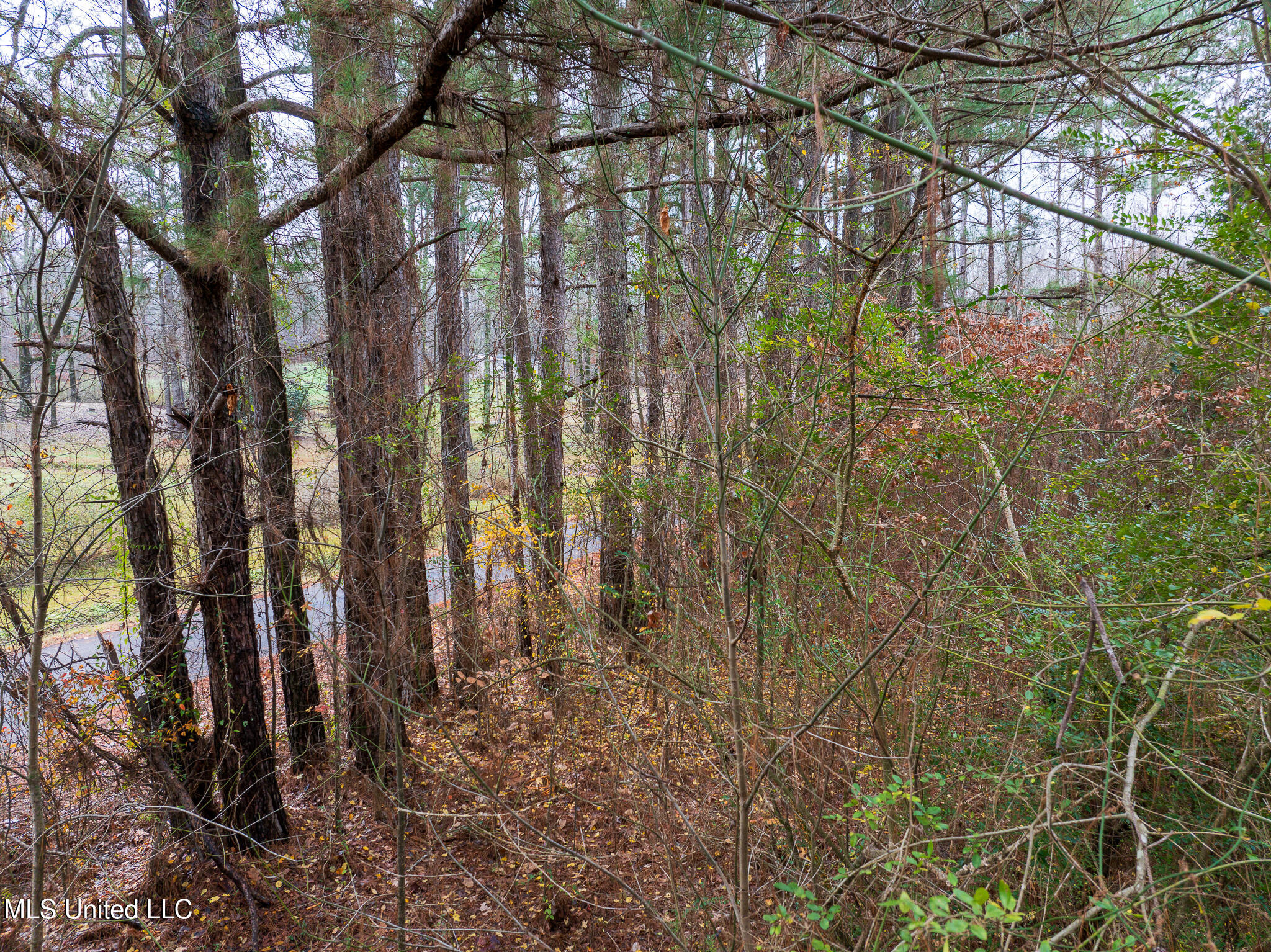 73 Valley Drive, Byhalia, Mississippi image 35