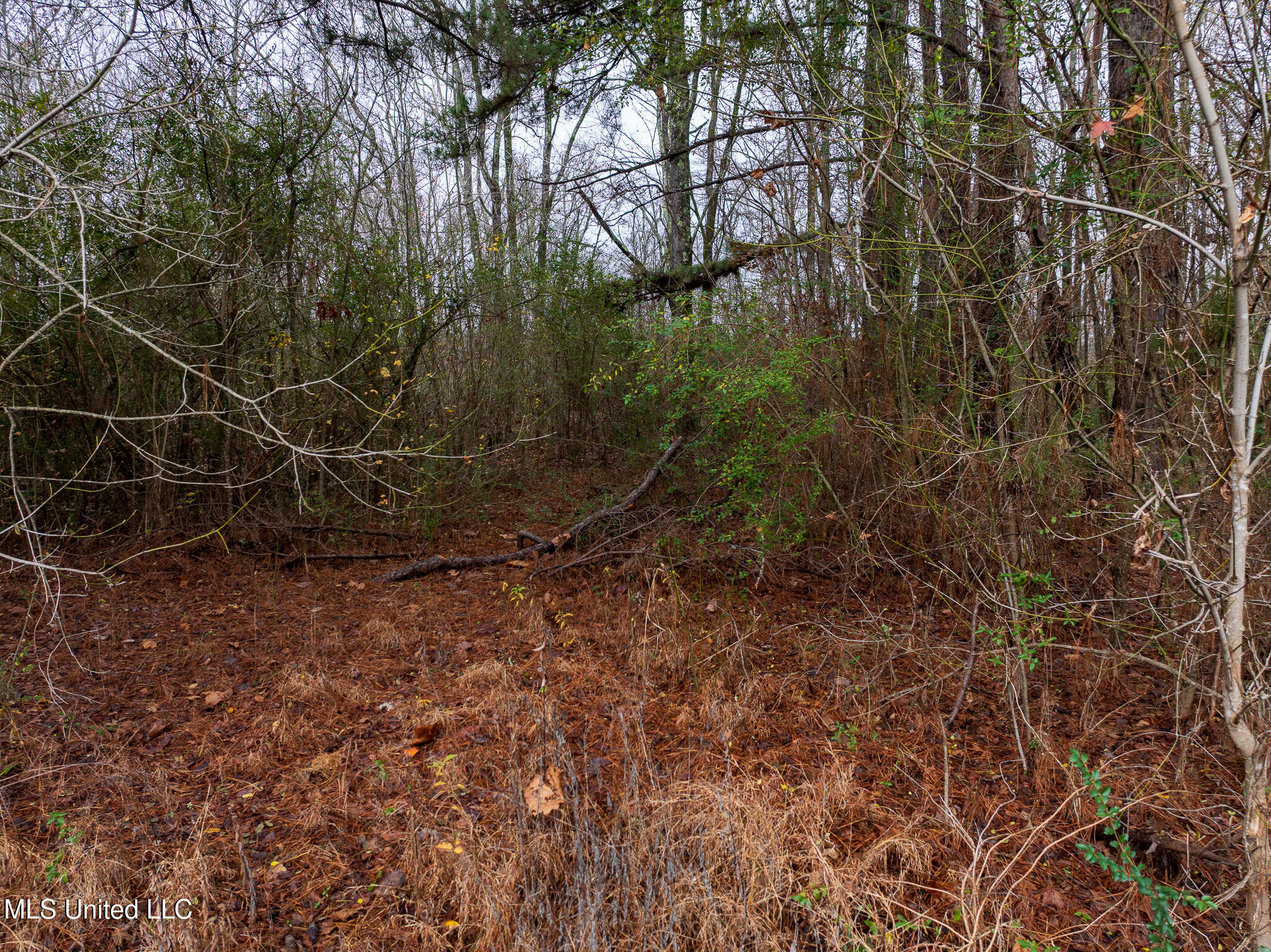 73 Valley Drive, Byhalia, Mississippi image 31