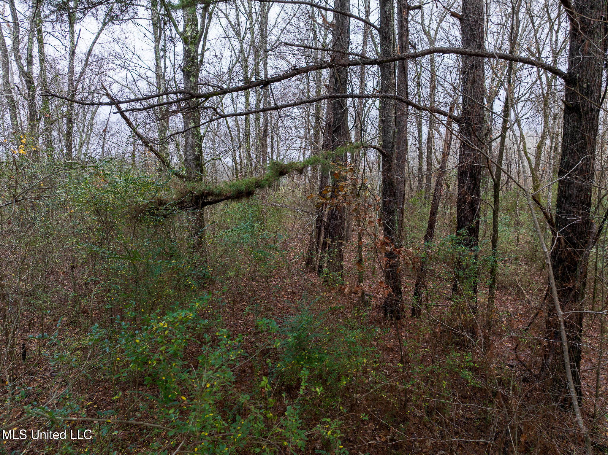 73 Valley Drive, Byhalia, Mississippi image 32