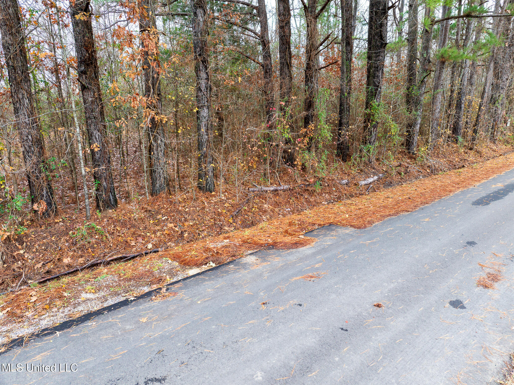 73 Valley Drive, Byhalia, Mississippi image 36