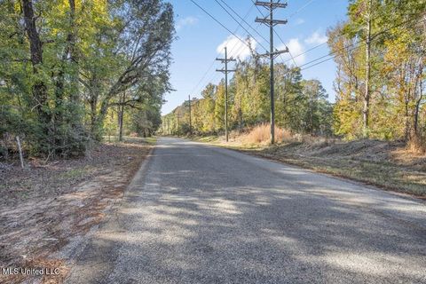 Vacant Land For Sale - 4636 E Ms-33 Road<br/> Amite County, Gloster, MS 39638