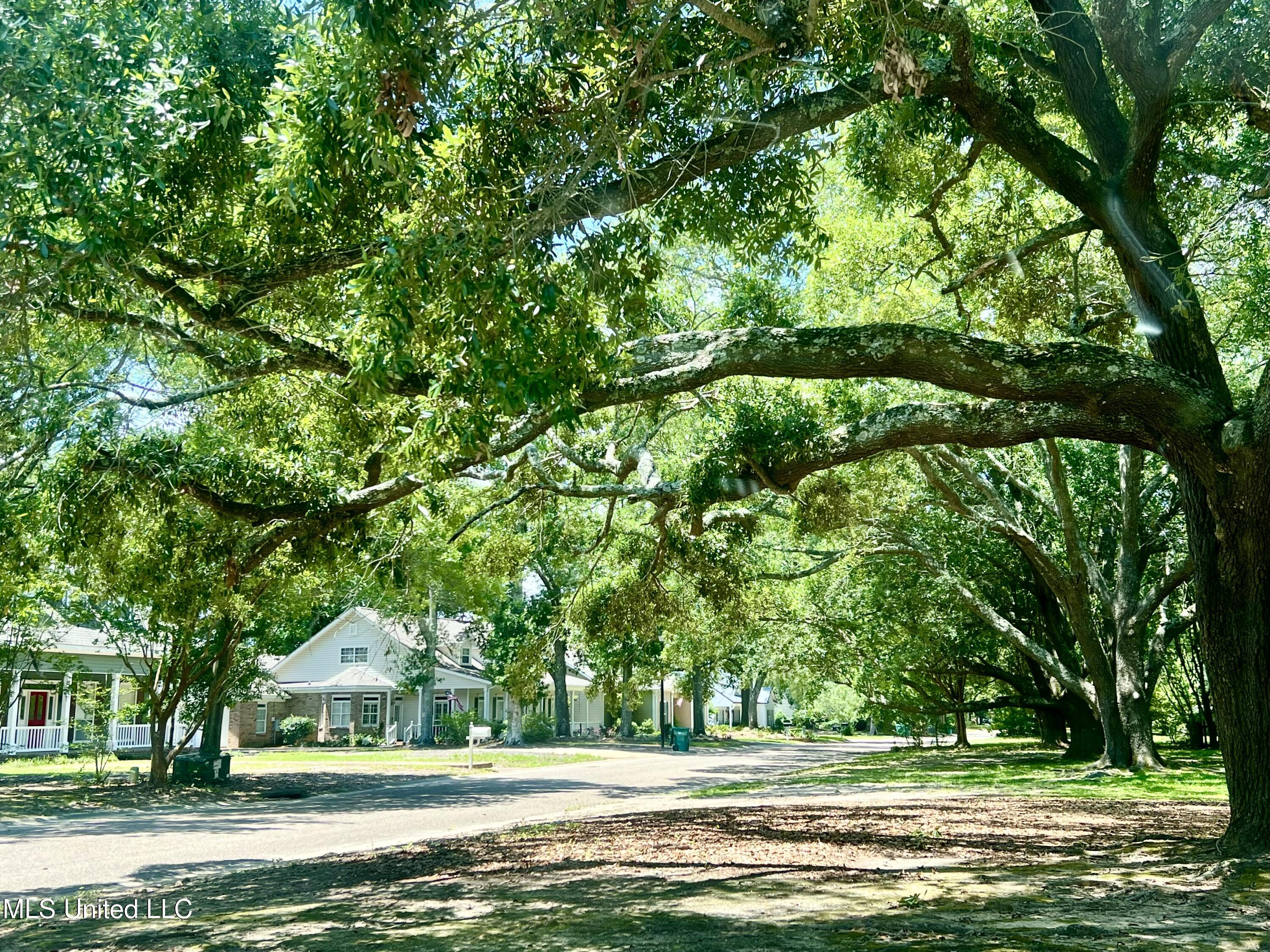2513 Duck Lake Drive, Moss Point, Mississippi image 49