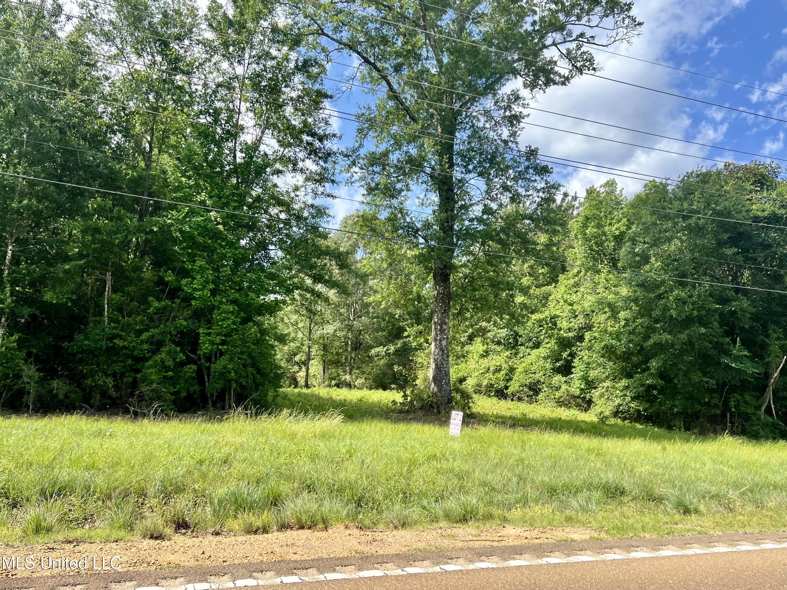 Lot 1 Highway 24, Centreville, Mississippi image 3