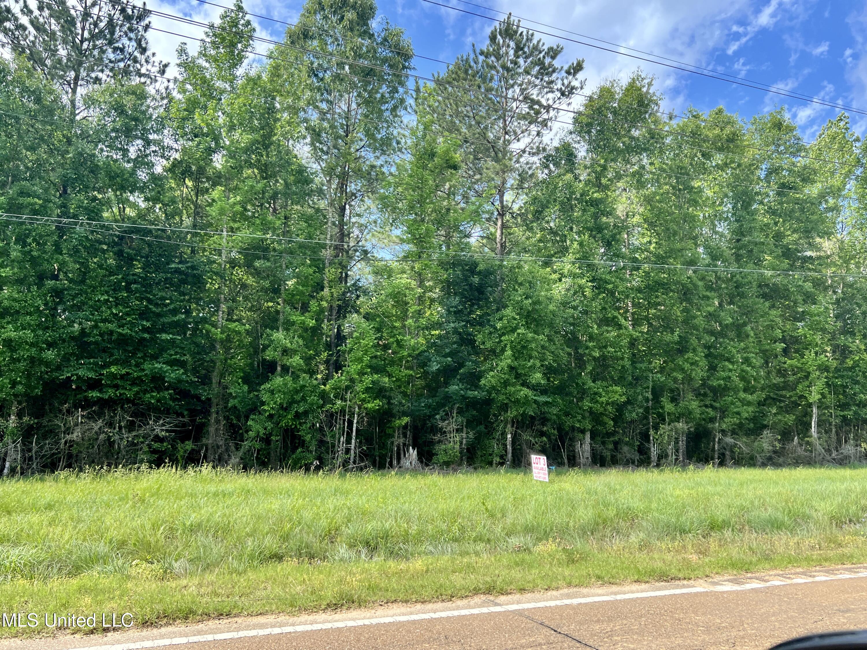 Lot 1 Highway 24, Centreville, Mississippi image 4