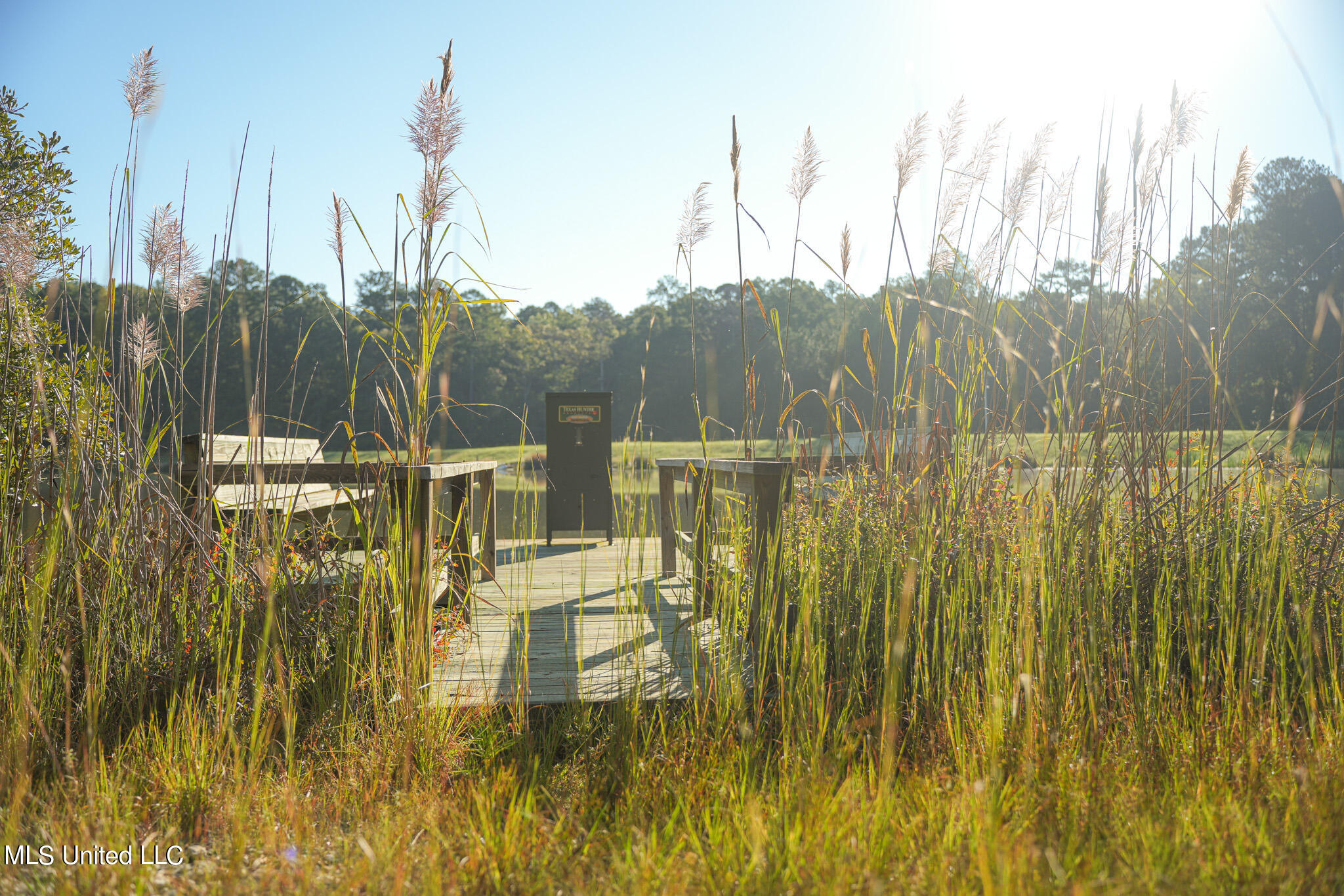 250 Rockwood Road Rd, Florence, Mississippi image 46
