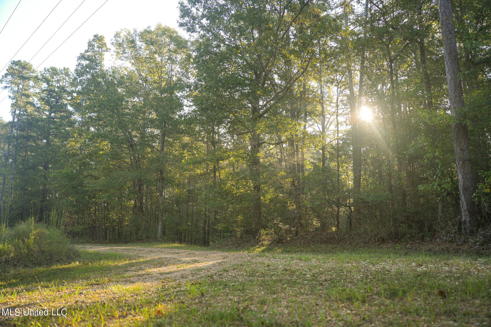 250 Rockwood Road Rd, Florence, Mississippi image 35