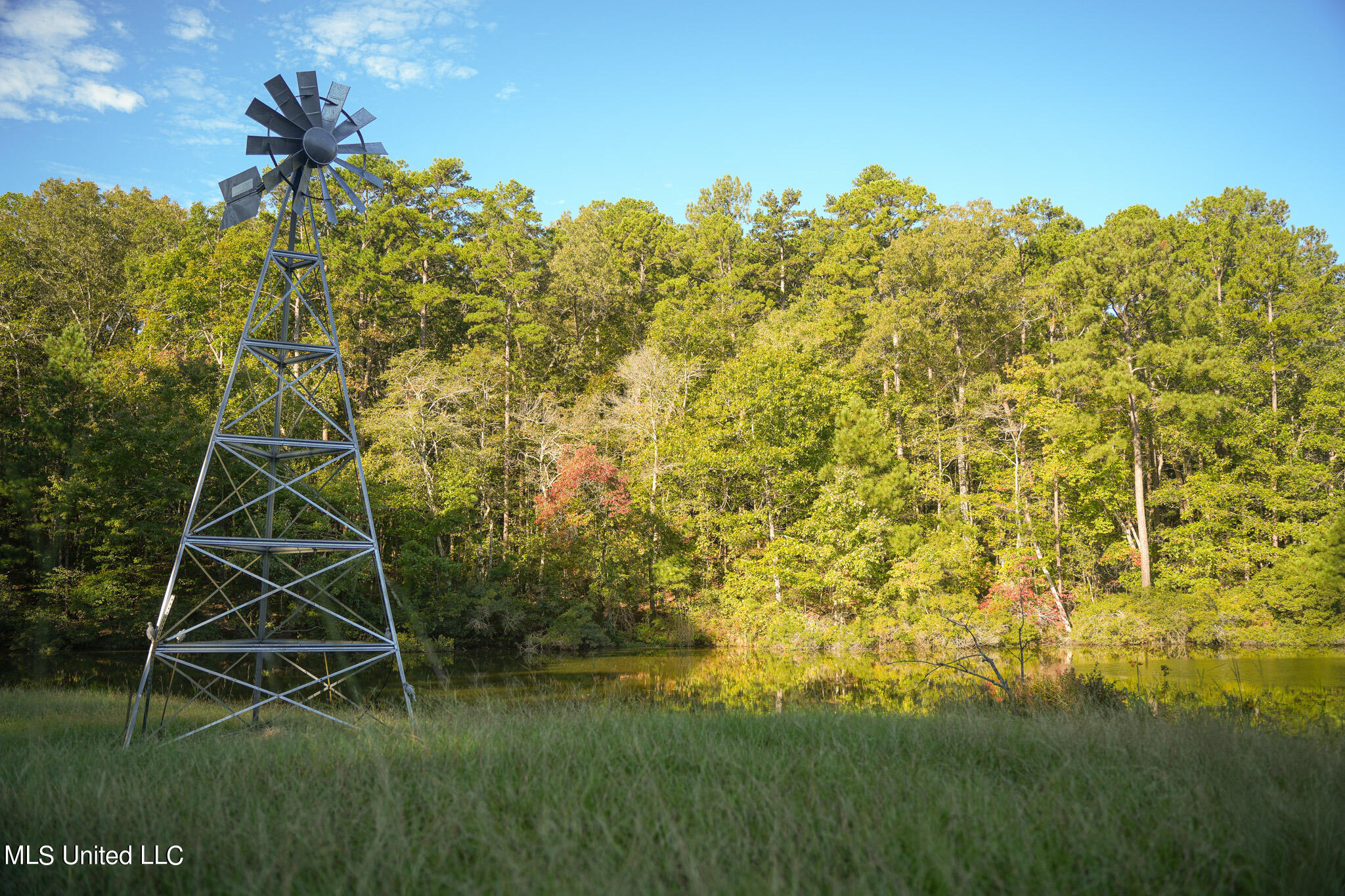 250 Rockwood Road Rd, Florence, Mississippi image 49