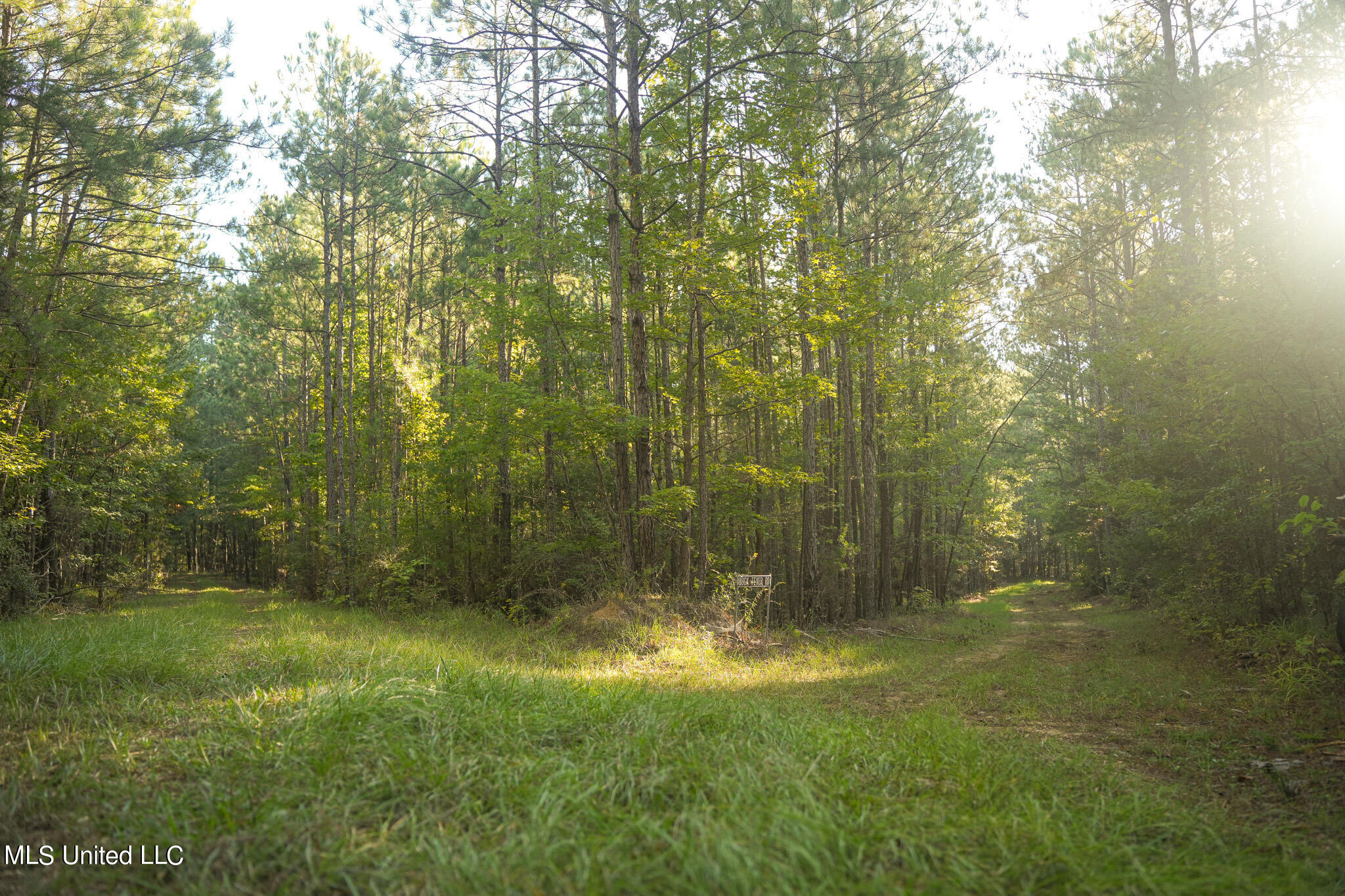 250 Rockwood Road Rd, Florence, Mississippi image 37
