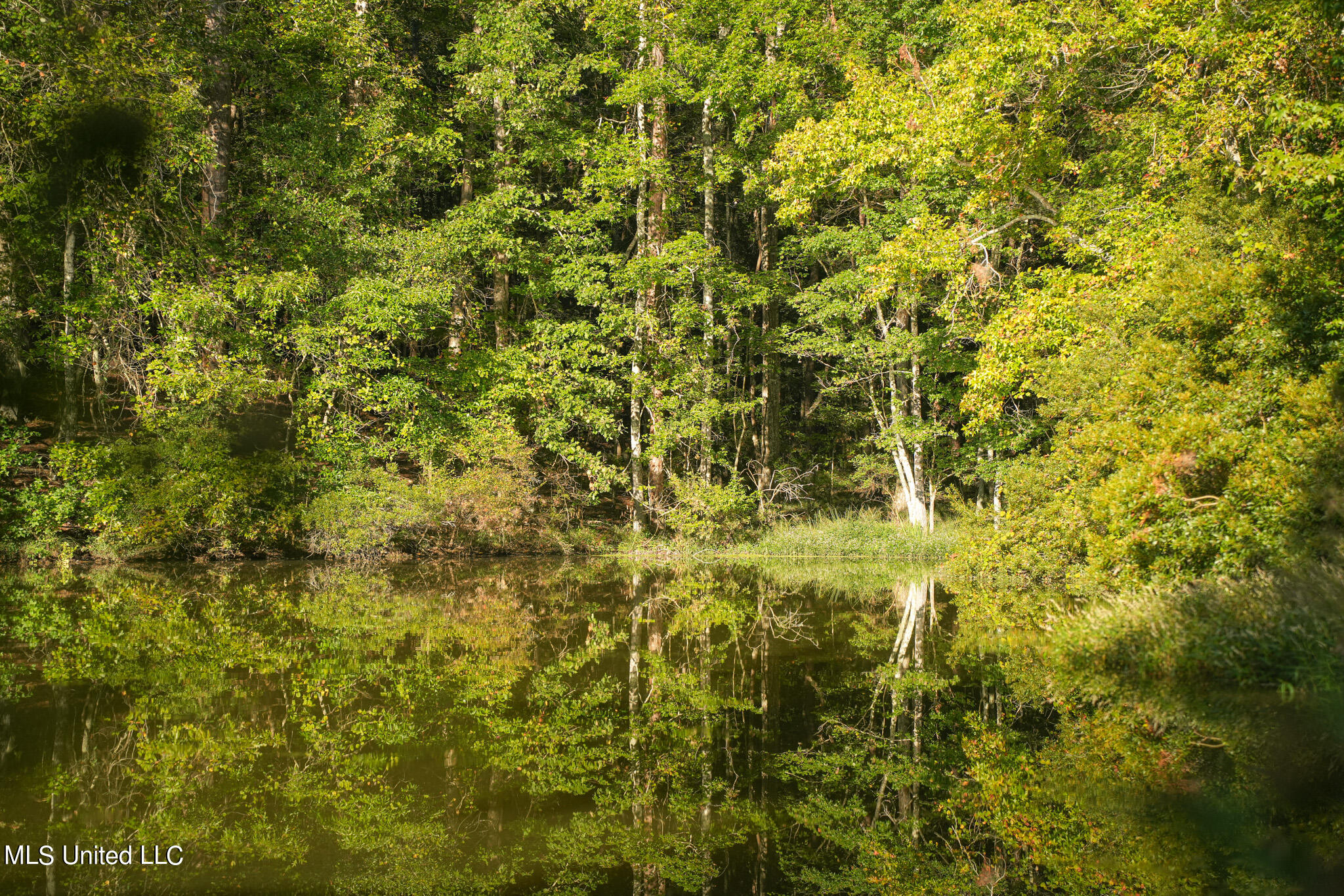 250 Rockwood Road Rd, Florence, Mississippi image 36