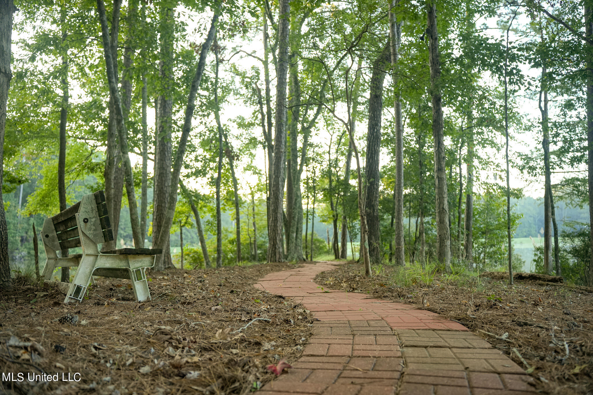 250 Rockwood Road Rd, Florence, Mississippi image 3