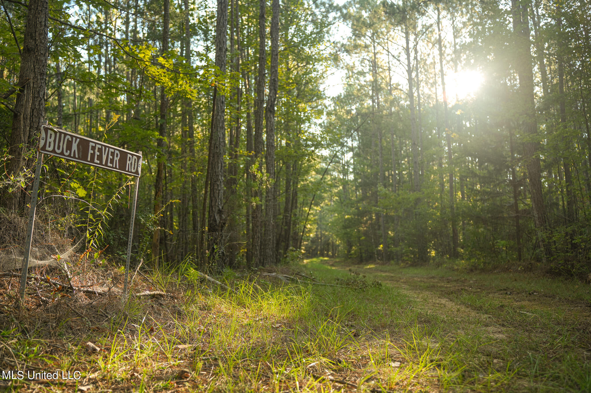 250 Rockwood Road Rd, Florence, Mississippi image 38