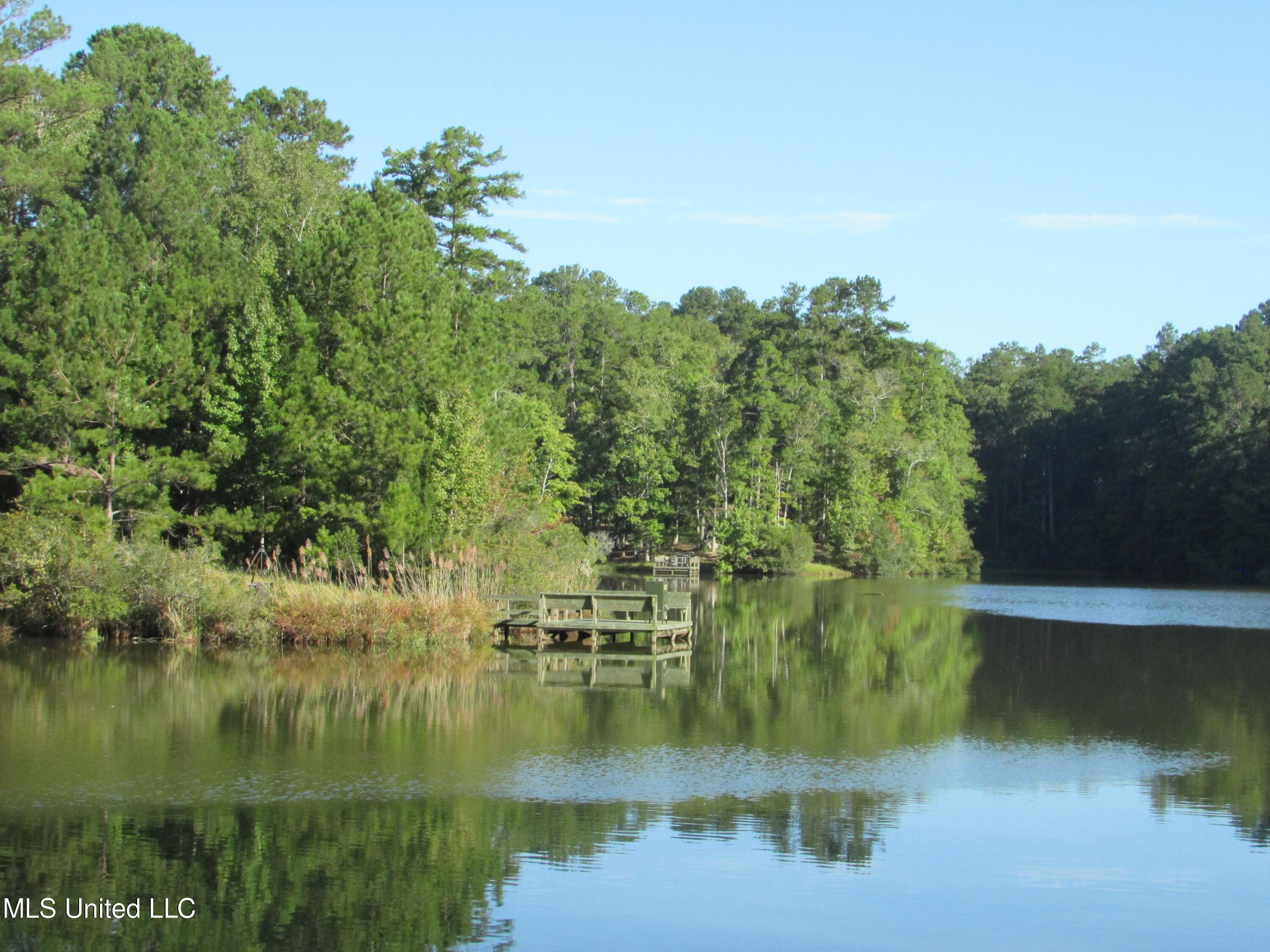 250 Rockwood Road Rd, Florence, Mississippi image 40