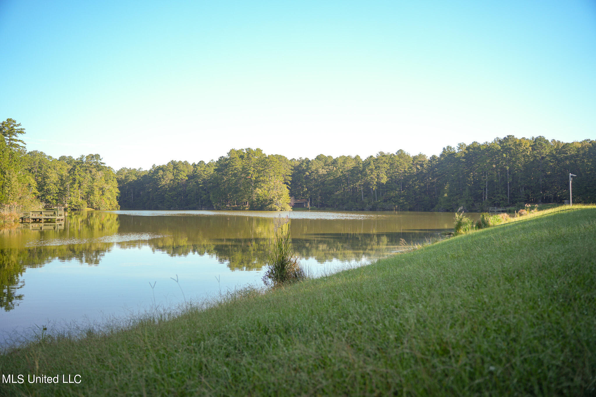 250 Rockwood Road Rd, Florence, Mississippi image 50