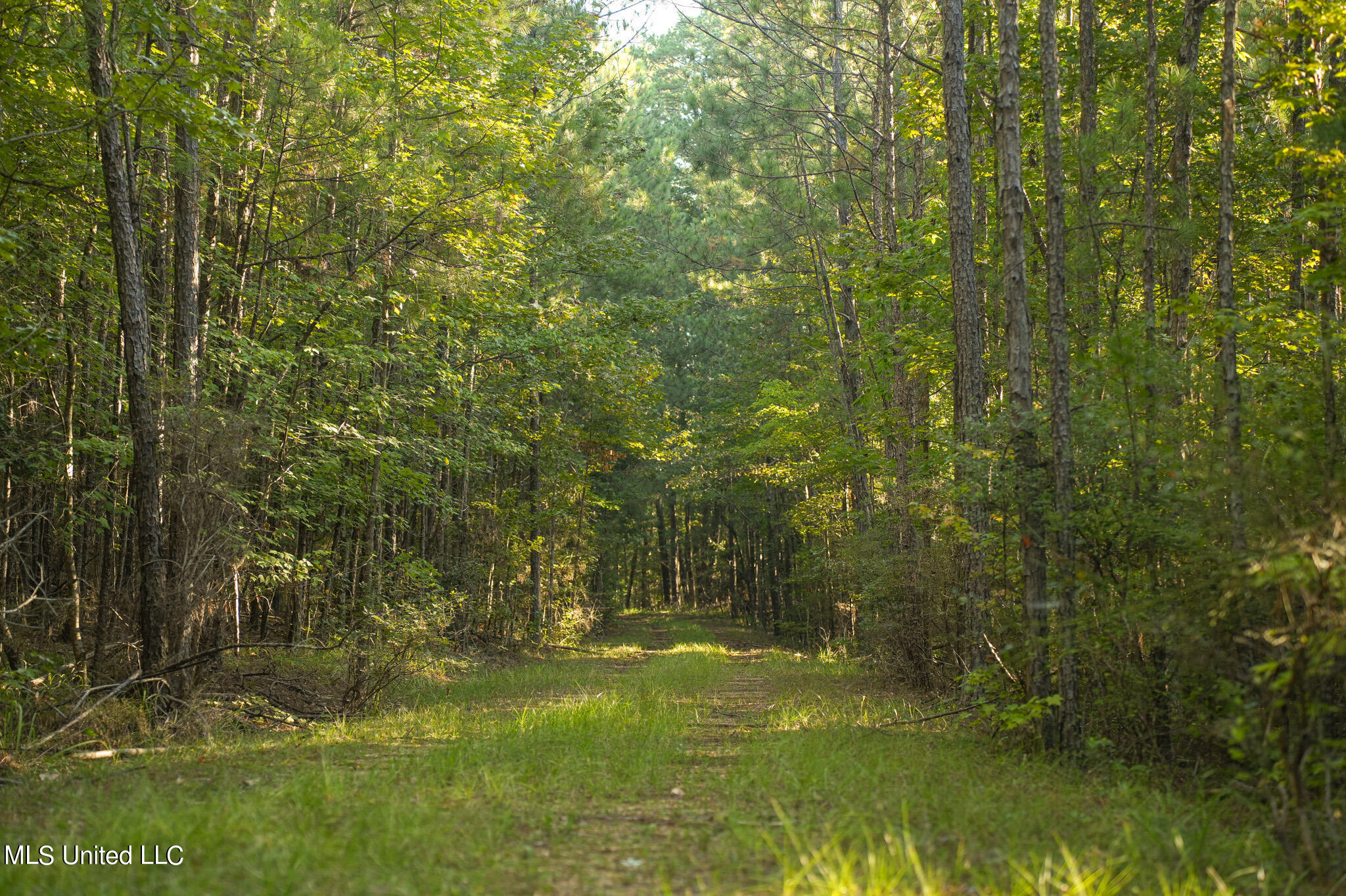 250 Rockwood Road Rd, Florence, Mississippi image 41
