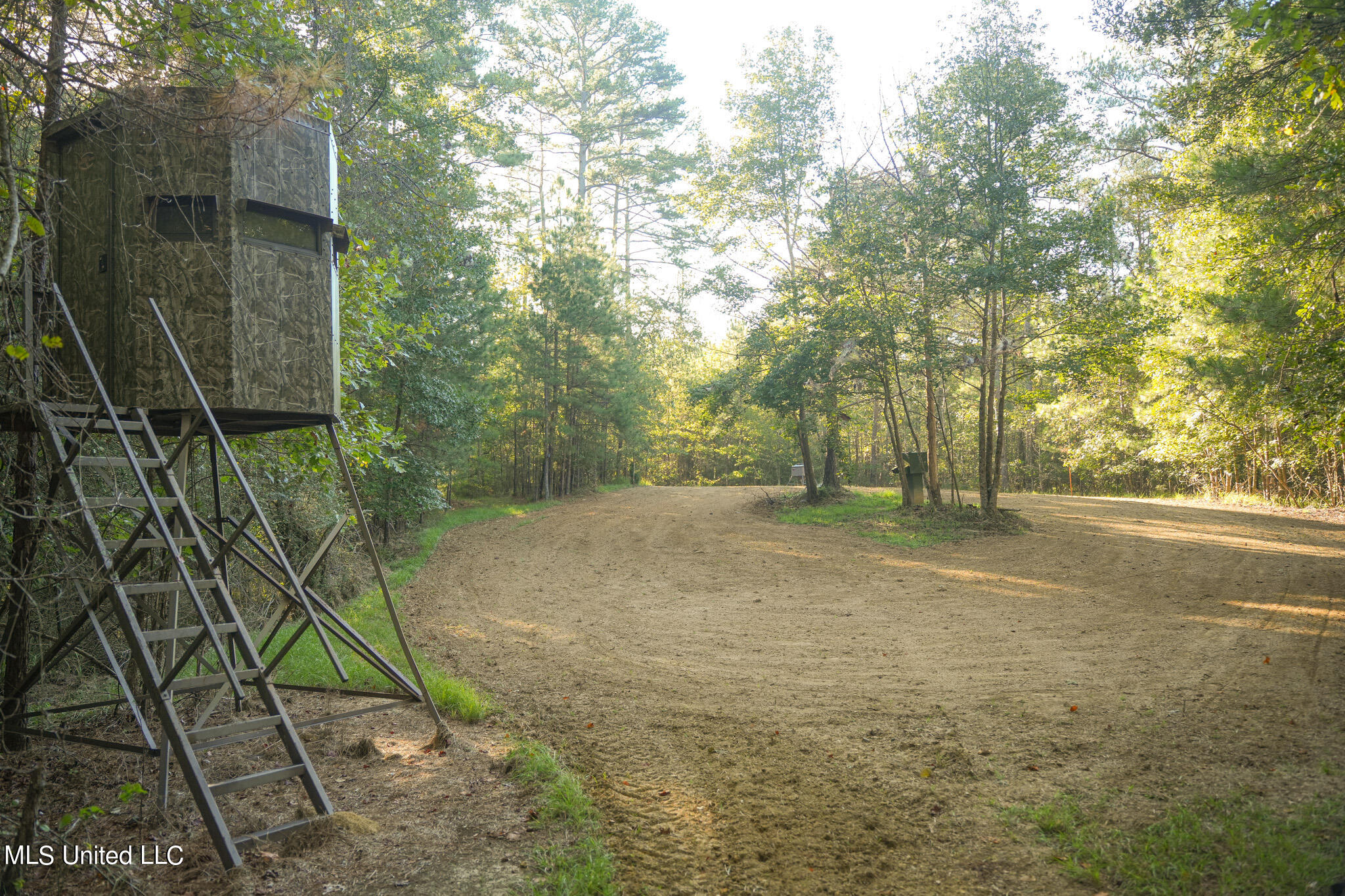 250 Rockwood Road Rd, Florence, Mississippi image 42