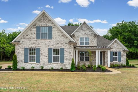 Homes For Sale - 9090 Apple Orchard Cove<br/> Olive Branch, MS 38654