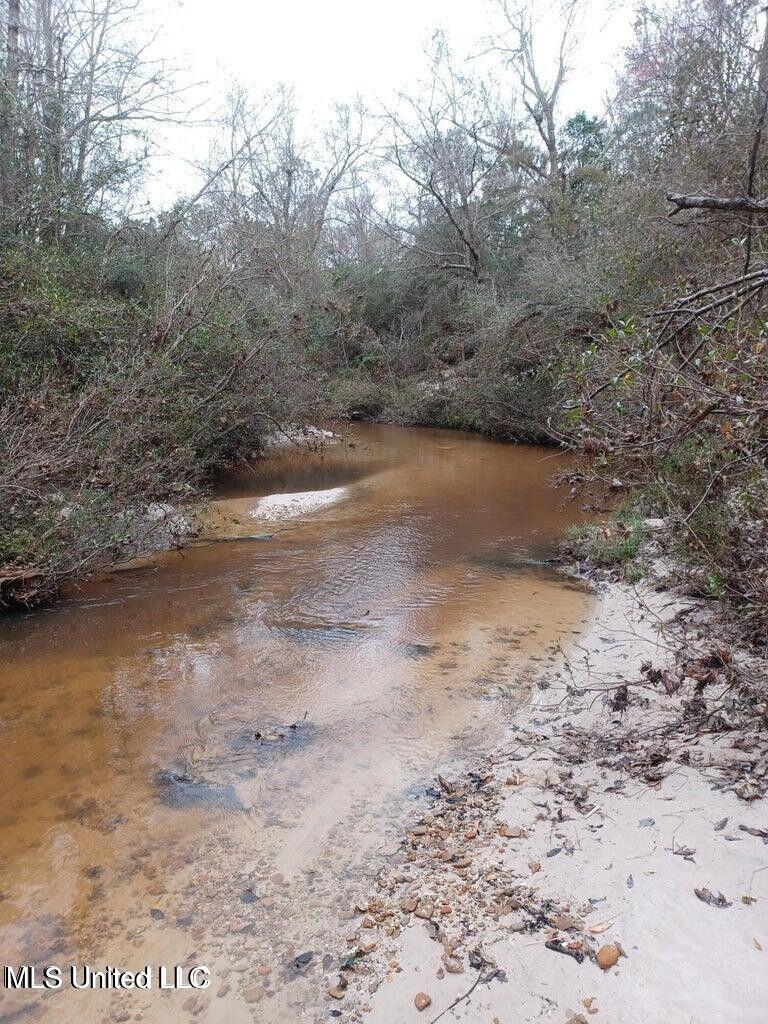 Nhn Rainbow Drive, Perkinston, Mississippi image 3