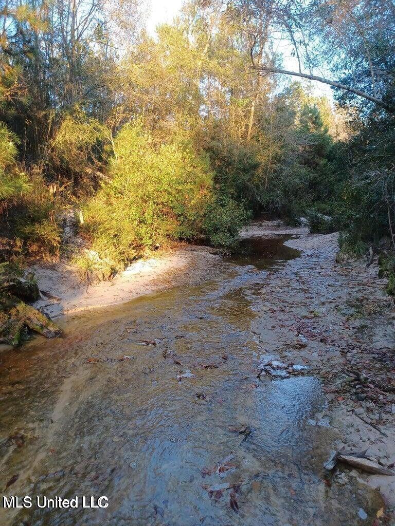 Nhn Rainbow Drive, Perkinston, Mississippi image 2